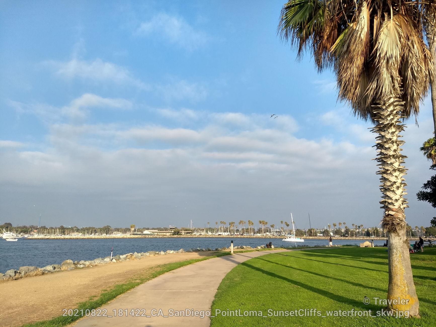Bright daytime view of a palm tree, waterfront path, and calm bay with boats.