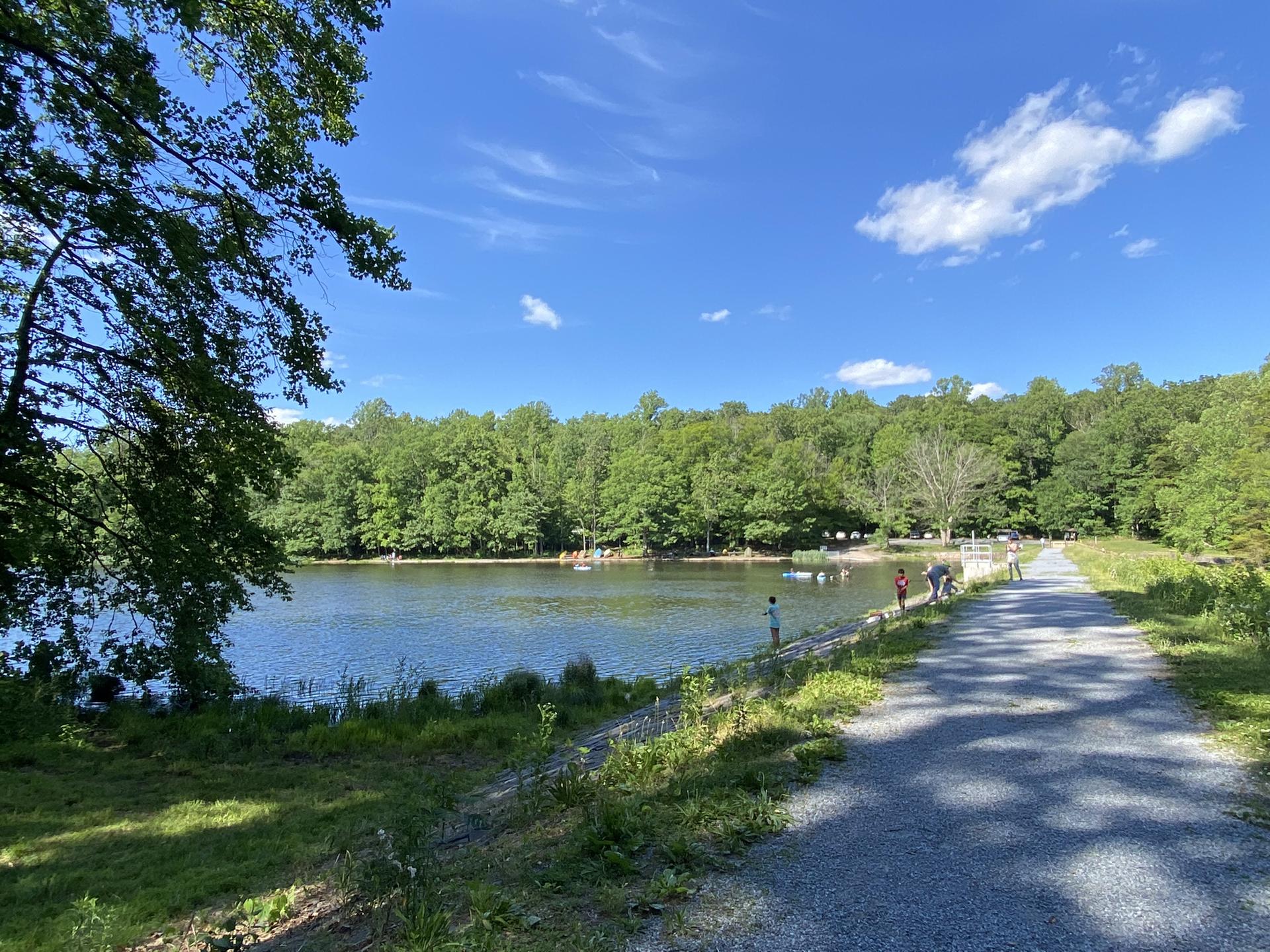 Sunny lake scene with people by the water, gravel path, and green forest.