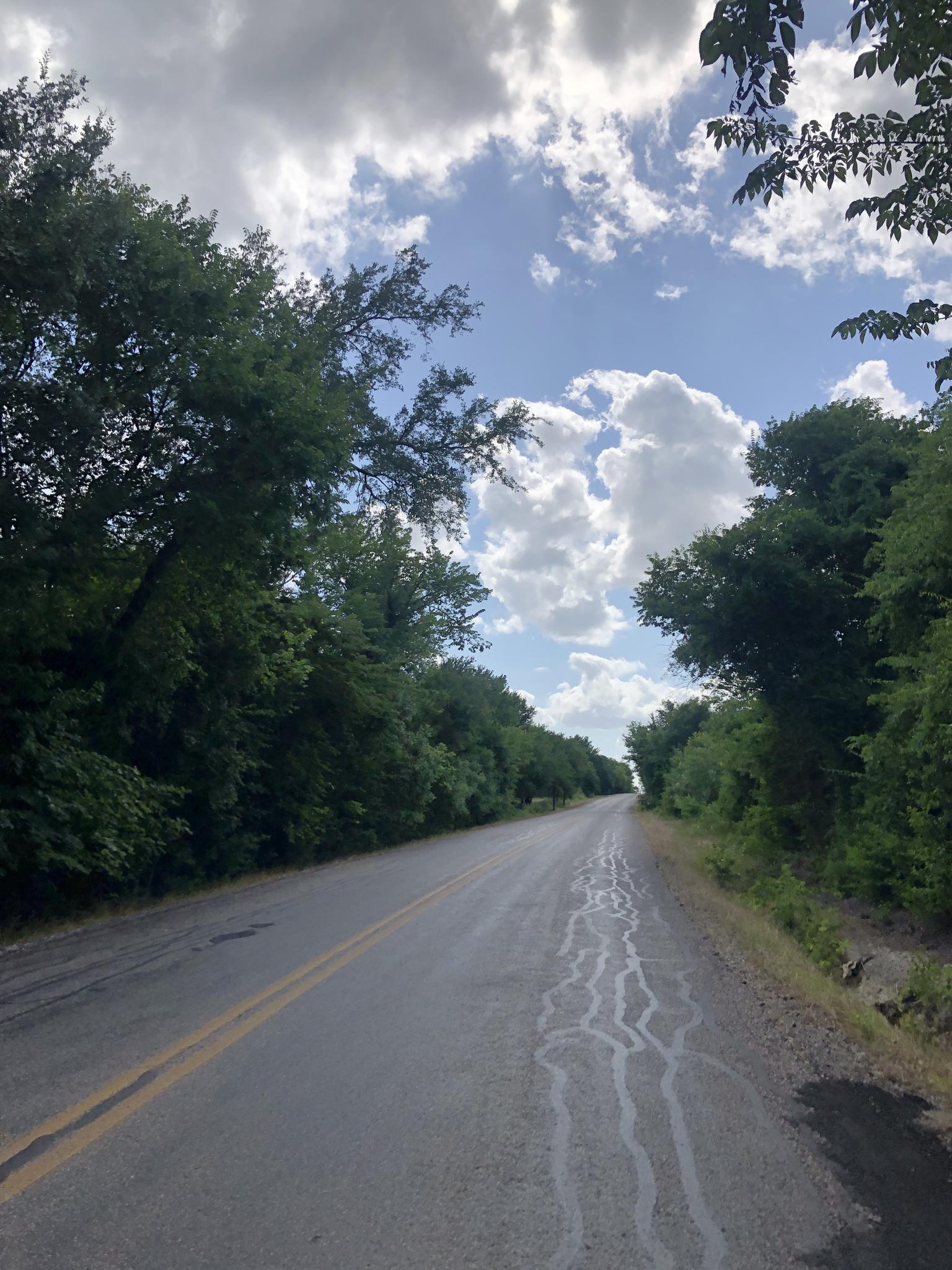 A rural road lined with dense green trees under a partly cloudy sky.
