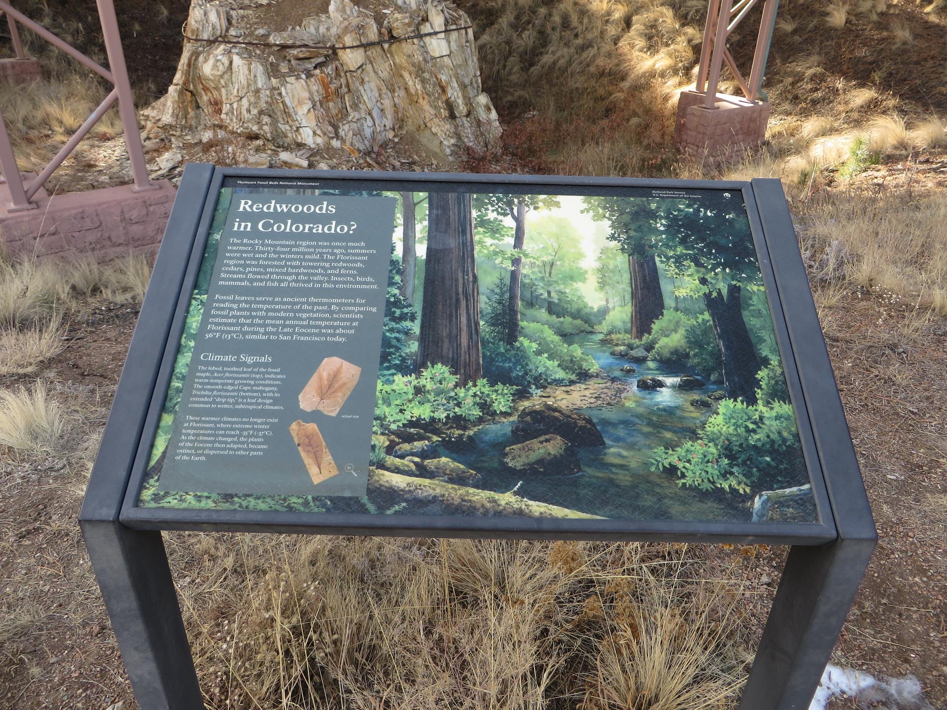An outdoor interpretive sign displays an illustration of a forest and text.
