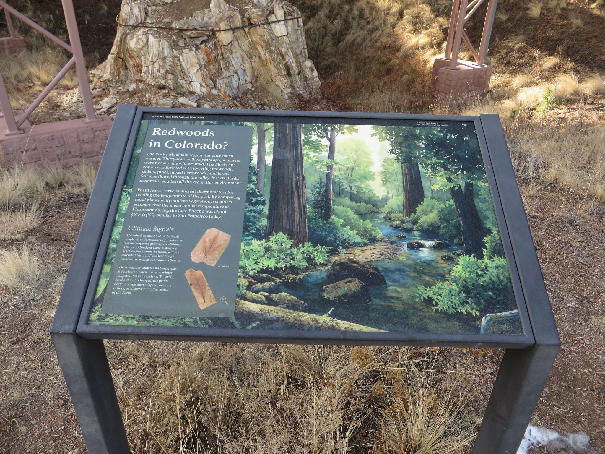 An outdoor interpretive sign displays an illustration of a forest and text. - Hornbek Wildlife Loop