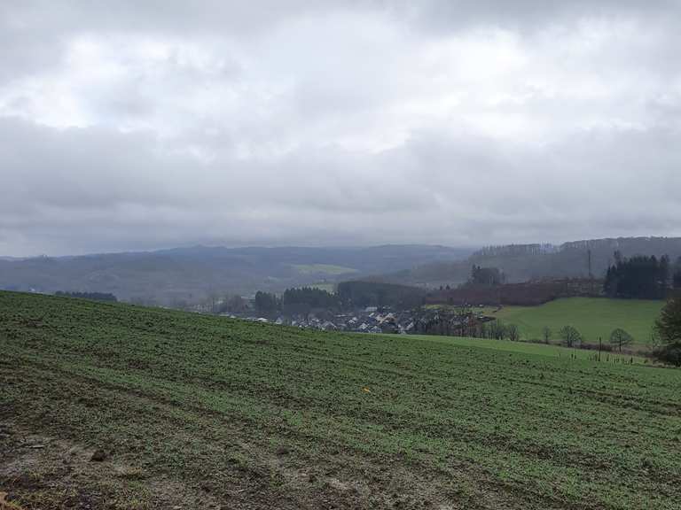 Kletterwald Halver Schönes HälverTal Runde von Halver Wanderung