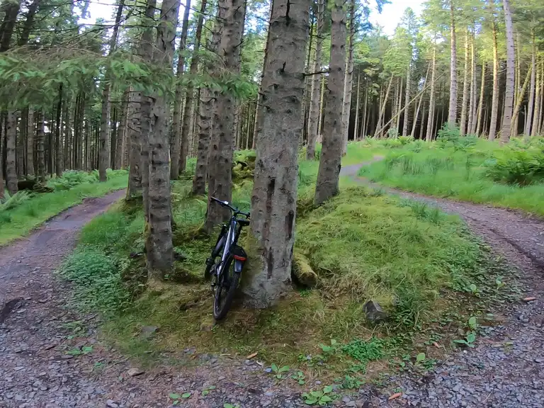 Carron Valley Red Trail loop mountain bike ride Komoot