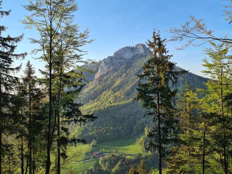 Auf den Kranzhorn Routes for Walking and Hiking | Komoot