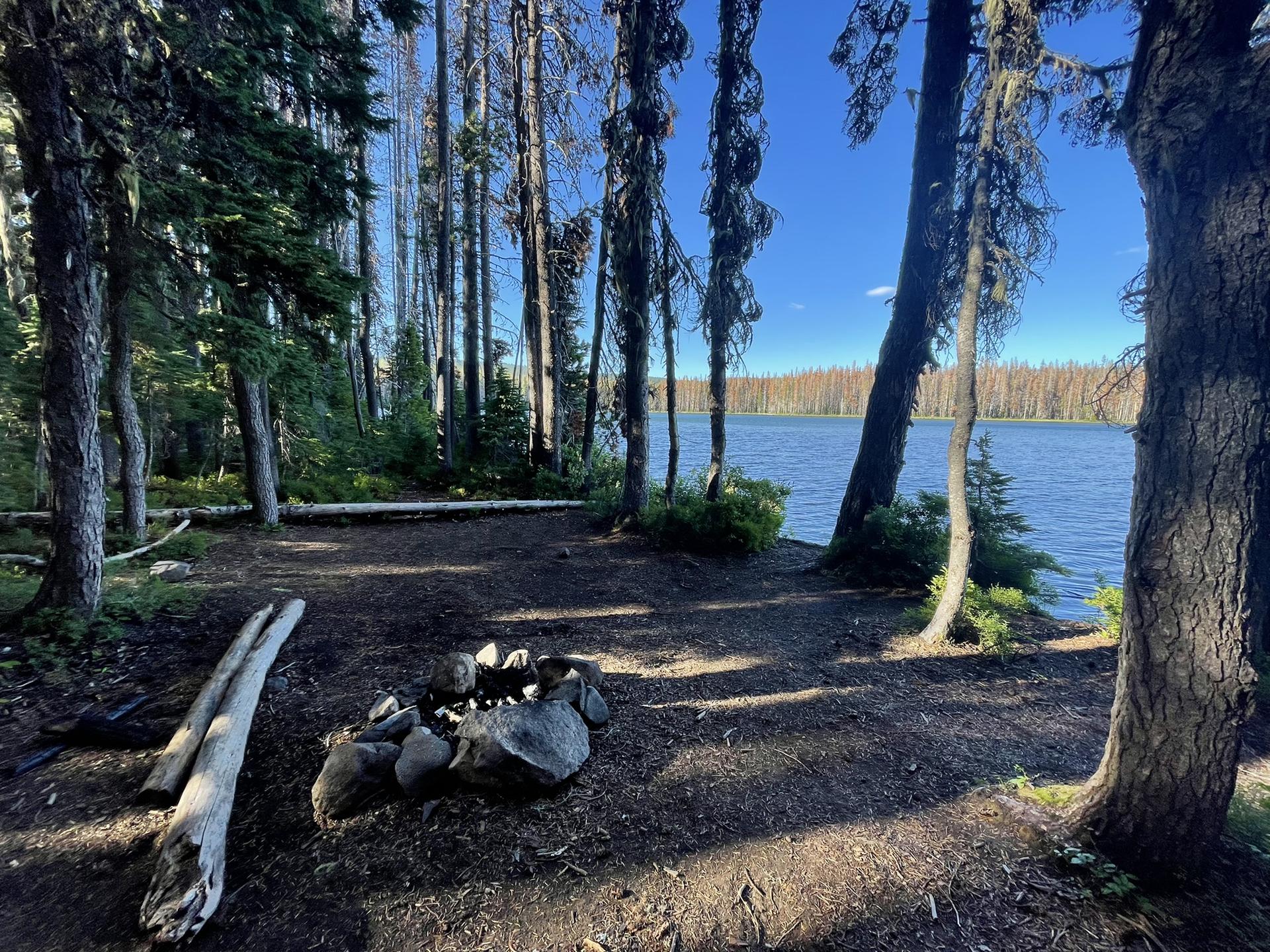 Sunny forest campsite with a rock fire pit beside a calm lake.