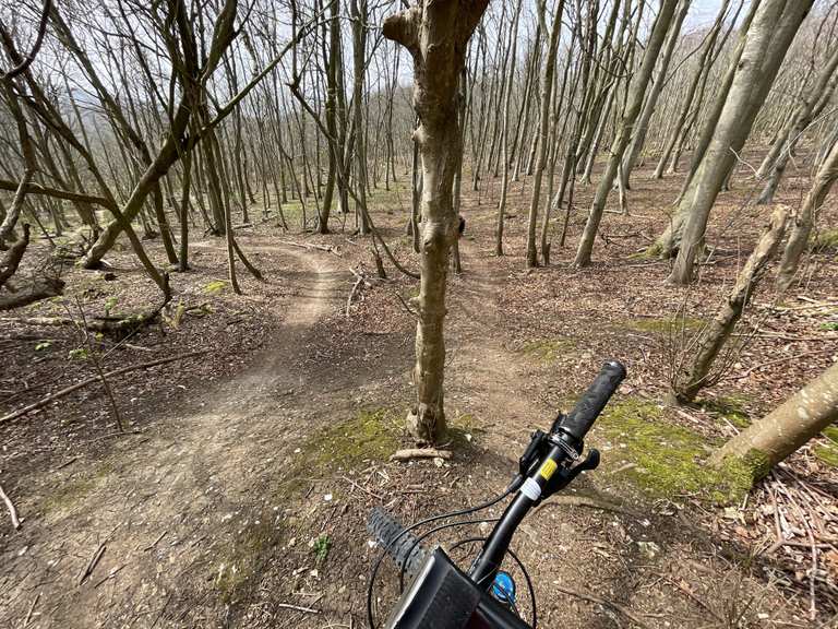 Friston discount forest mtb