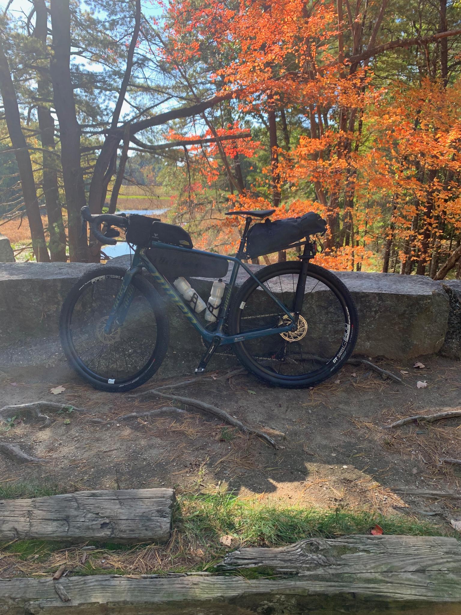 A bicycle with bags rests on a stone wall near vibrant autumn trees.