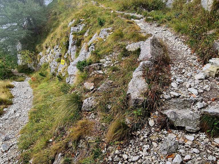 Sentier CAI 153 à travers les tunnels de la Première Guerre mondiale et ...