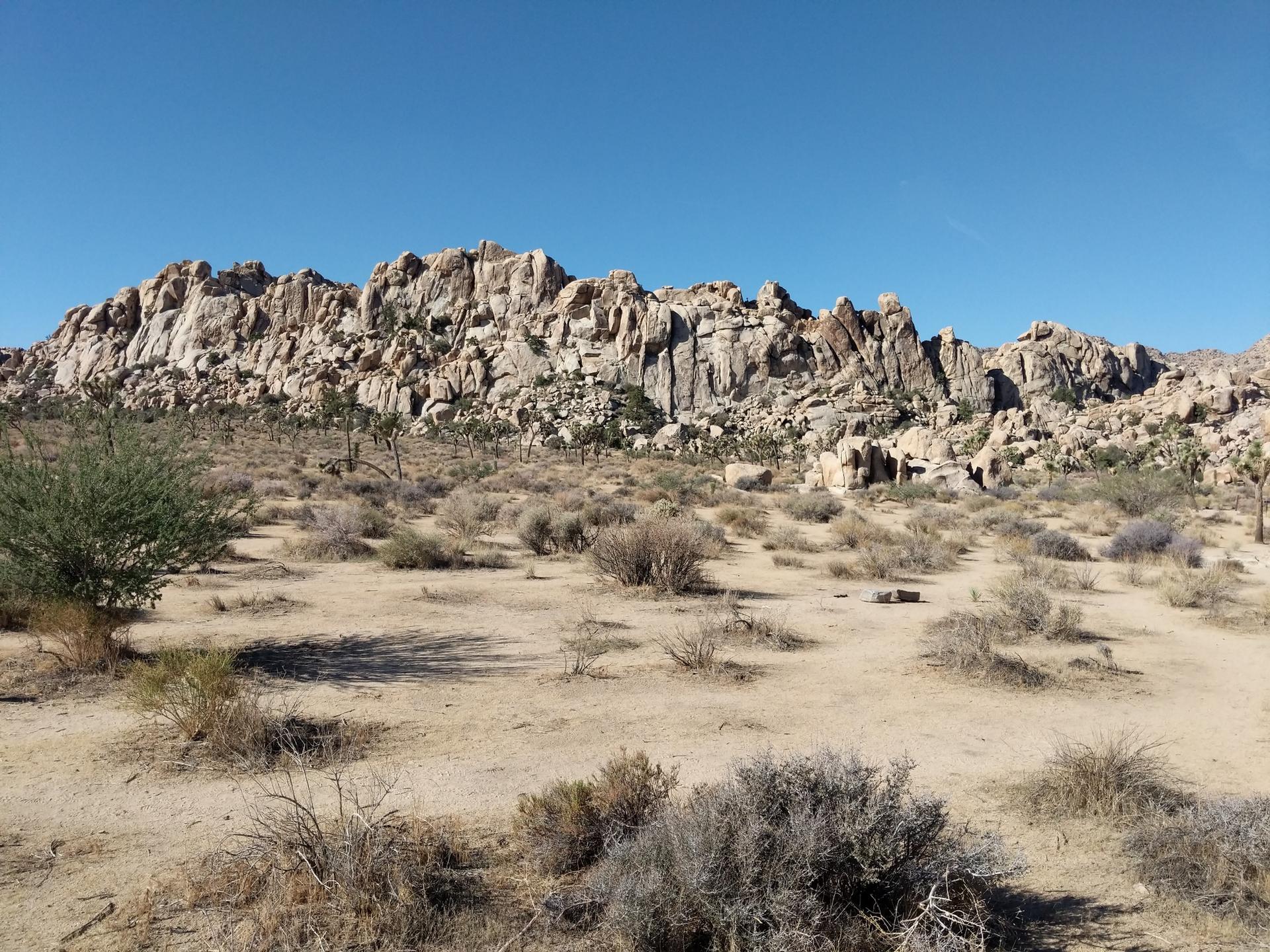 Vast desert with sparse shrubs and a long rocky mountain range under clear sky.