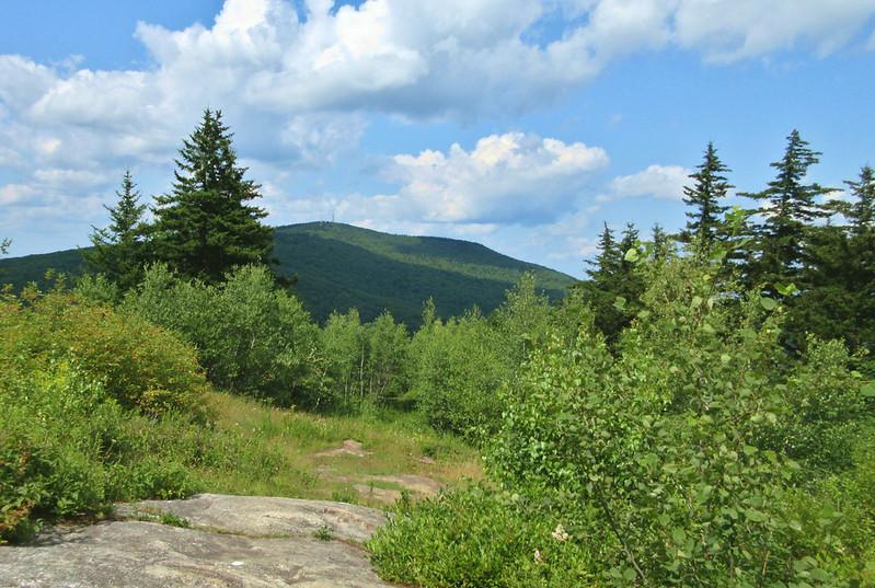 Lush green forest and a distant mountain under a bright, cloudy sky.