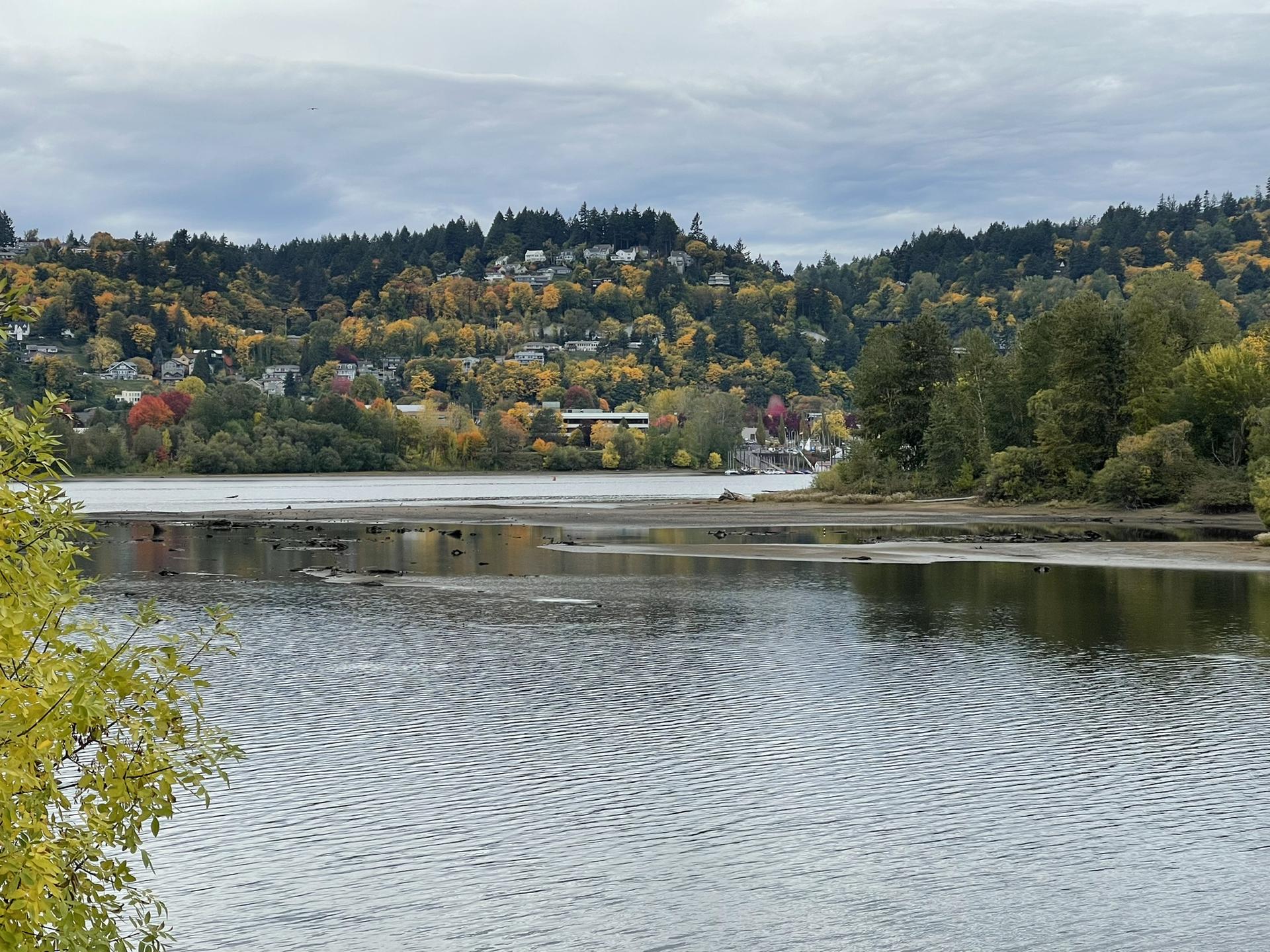 River flowing past hills covered in colorful autumn foliage under cloudy sky.