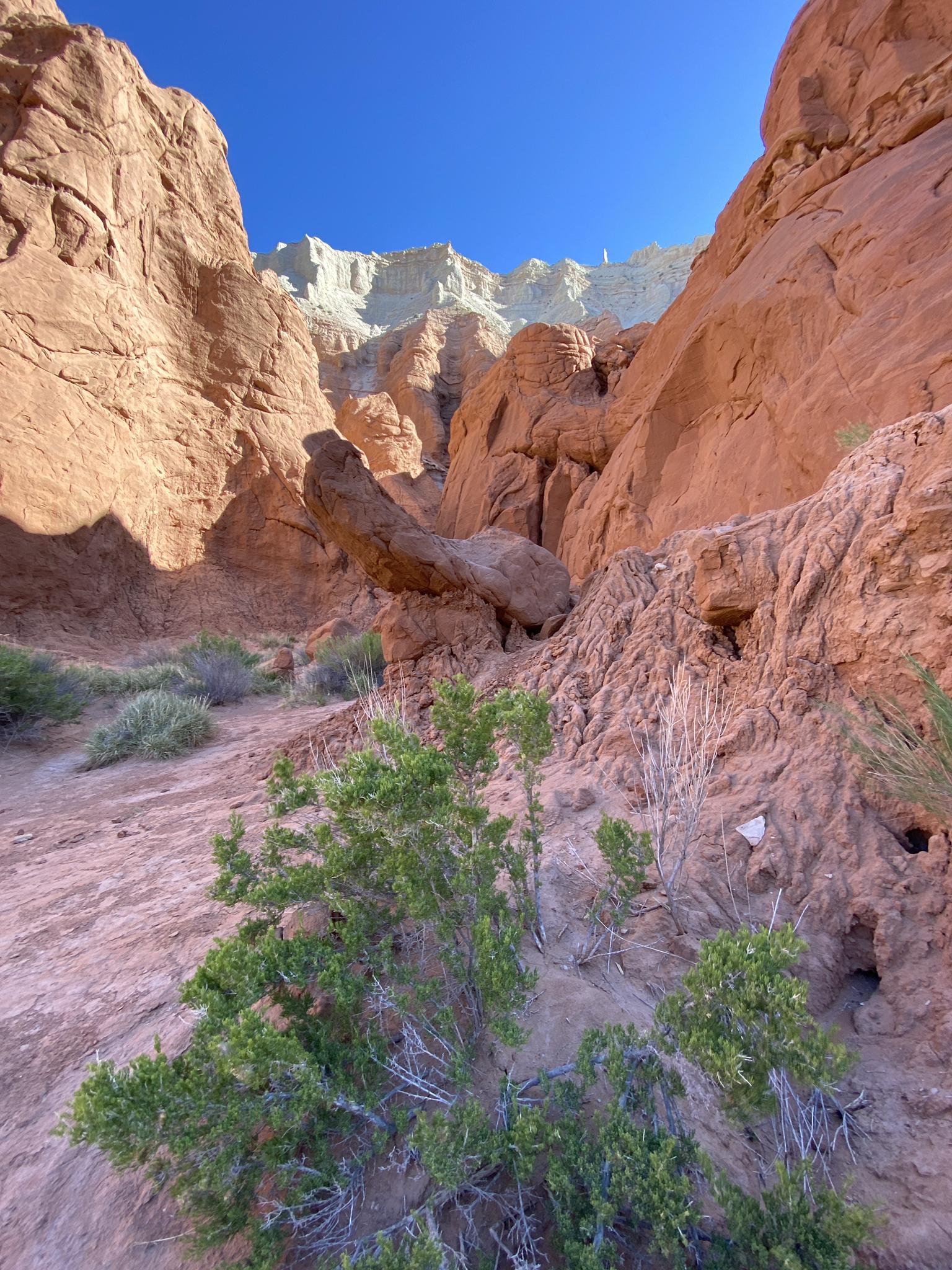 Narrow canyon with red and white rock walls, green bushes, bright sky.
