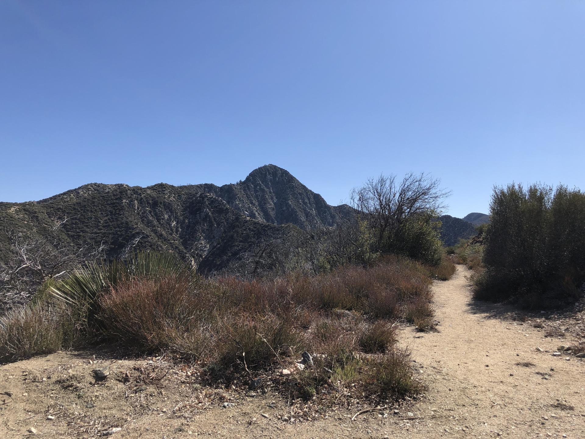 Dirt path through dry brush with rugged mountains under a clear blue sky.