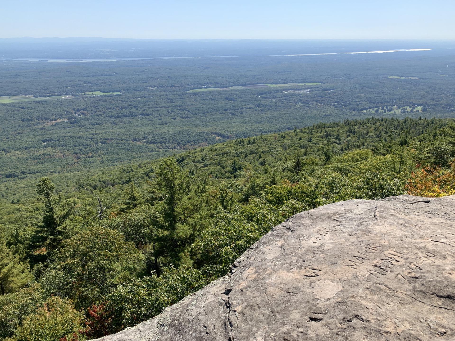 Rocky cliff edge overlooking a vast green forested valley under clear sky.