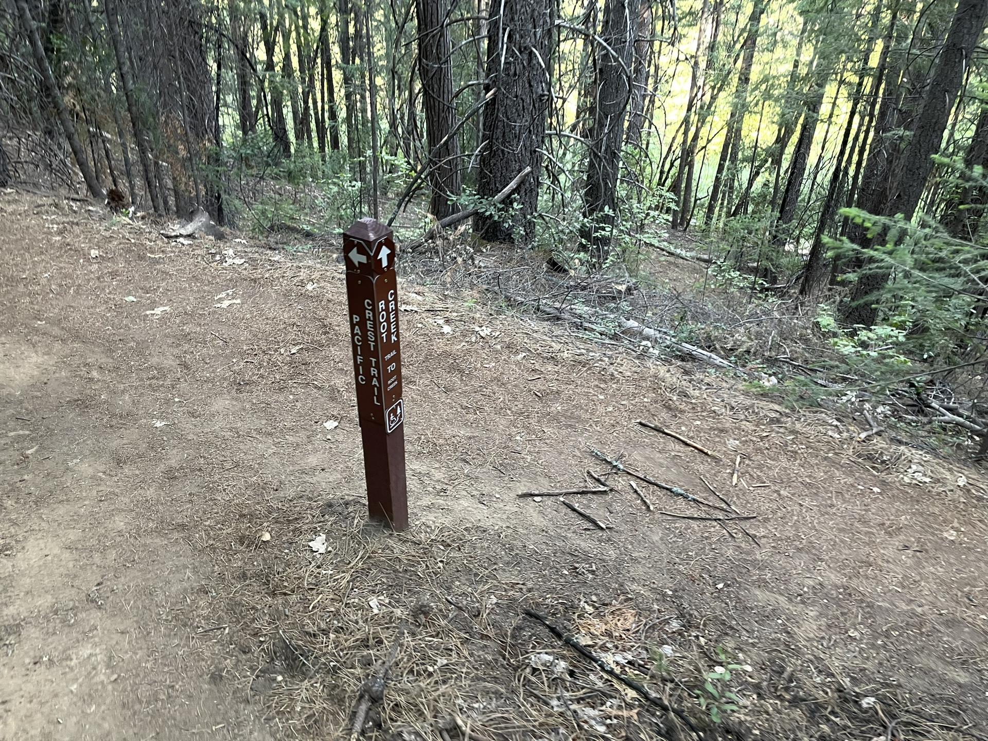 Brown trail marker post on a dirt path in a dense, sunlit forest.