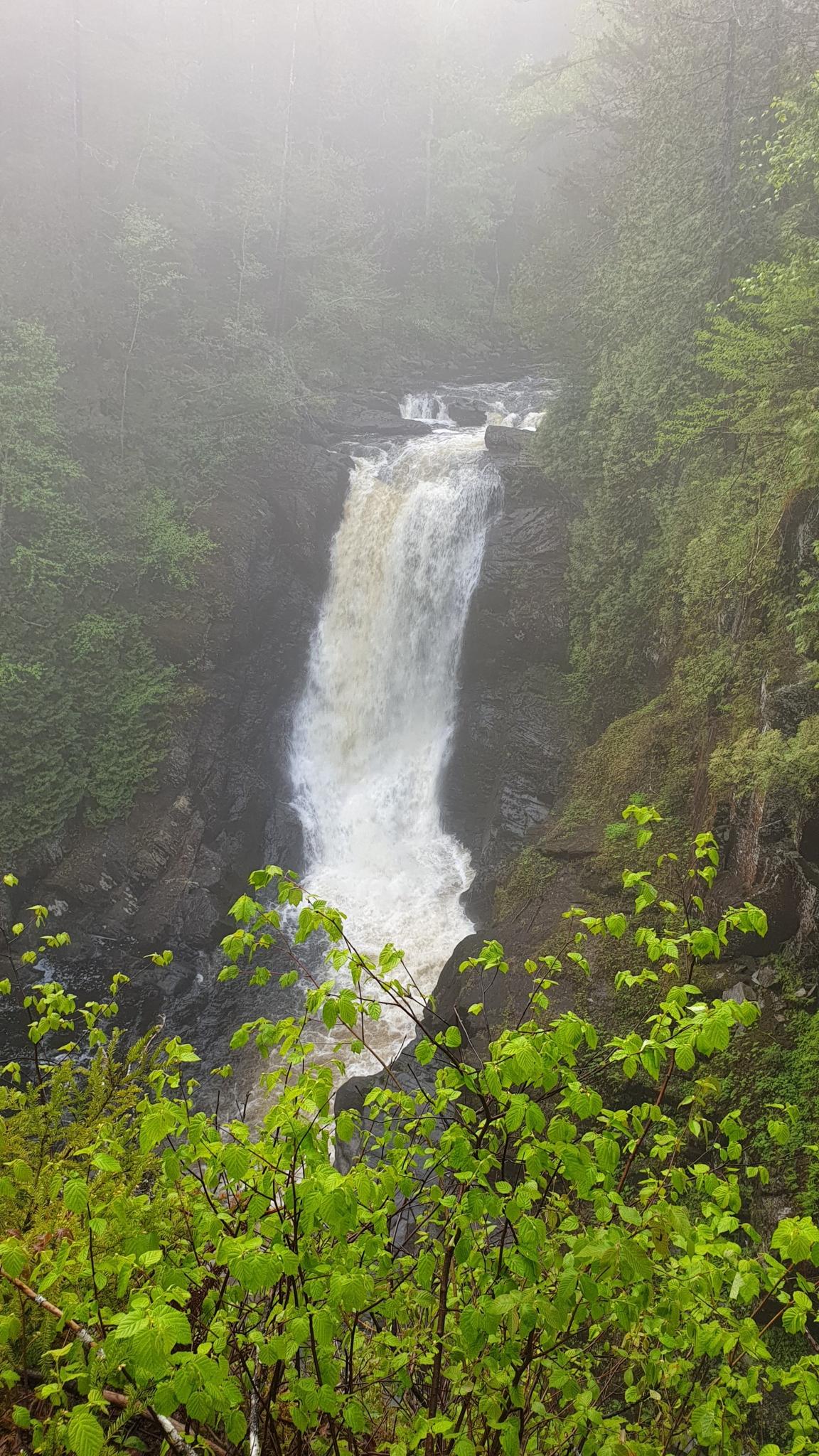 Tall waterfall cascading into a misty, green, forested gorge.