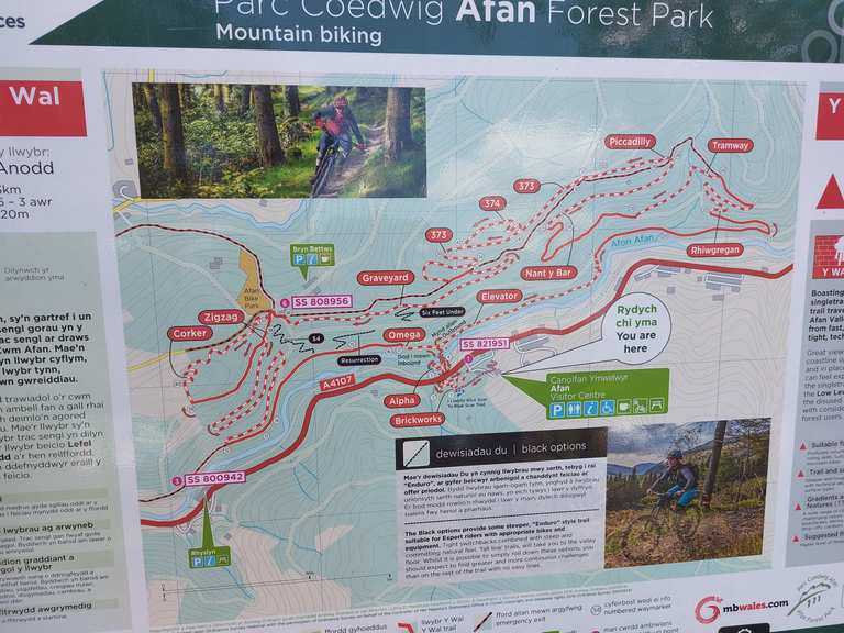 Afan forest deals mtb trails