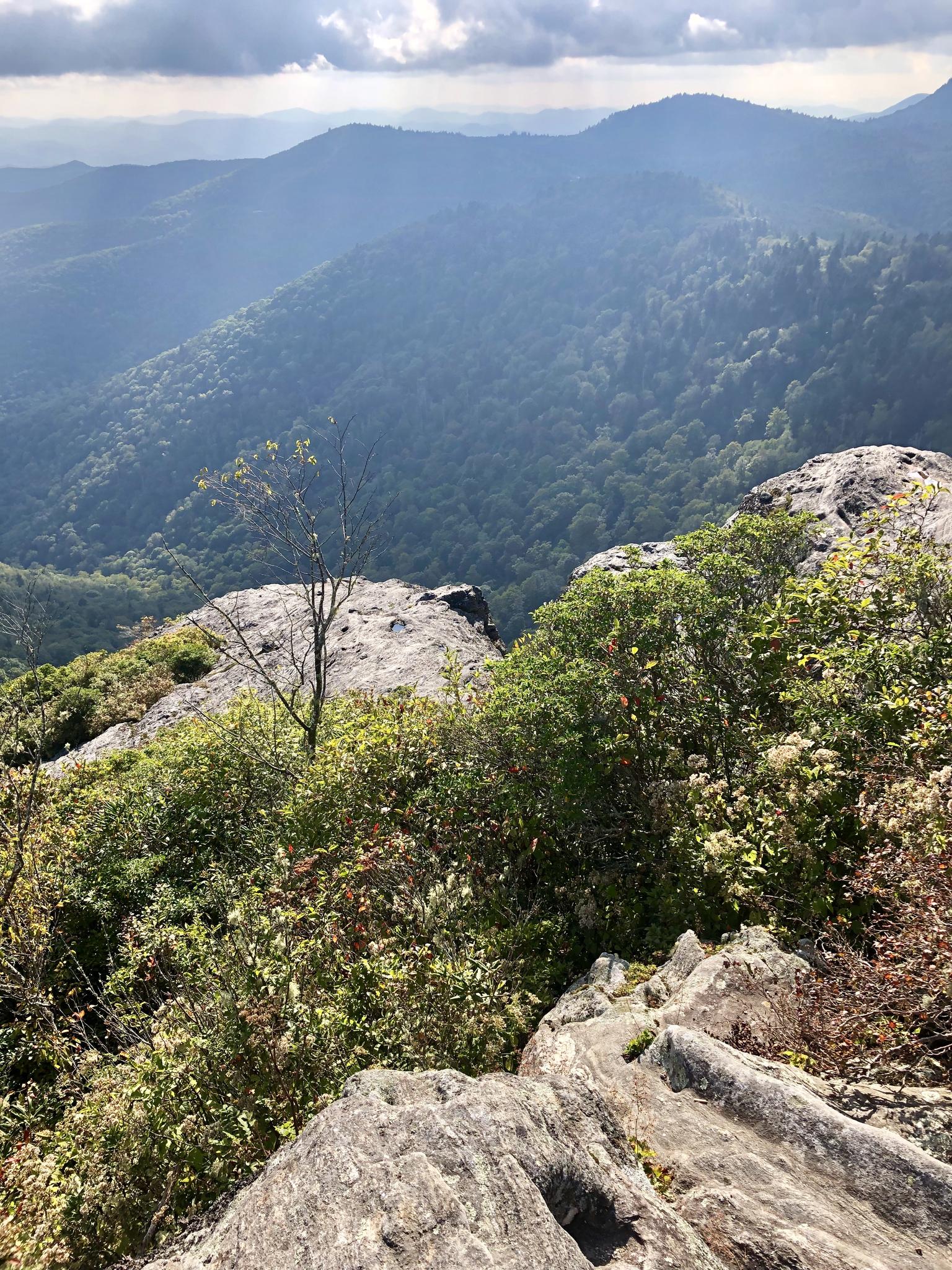 Expansive mountain vista from a rocky overlook with green foliage, cloudy sky.
