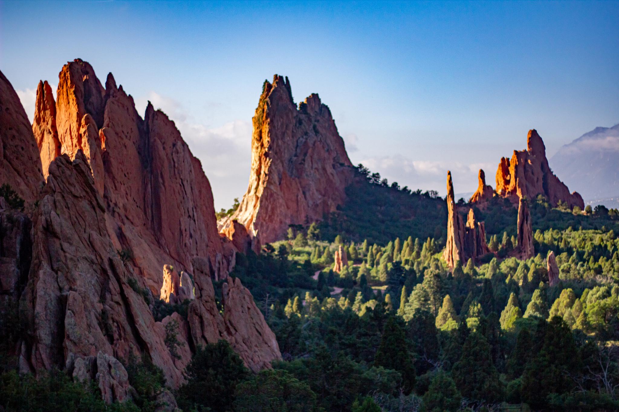 Golden hour light illuminates red rock formations and green trees under a blue sky.