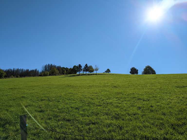 aussicht-auf-niederdorf-wanderungen-und-rundwege-komoot