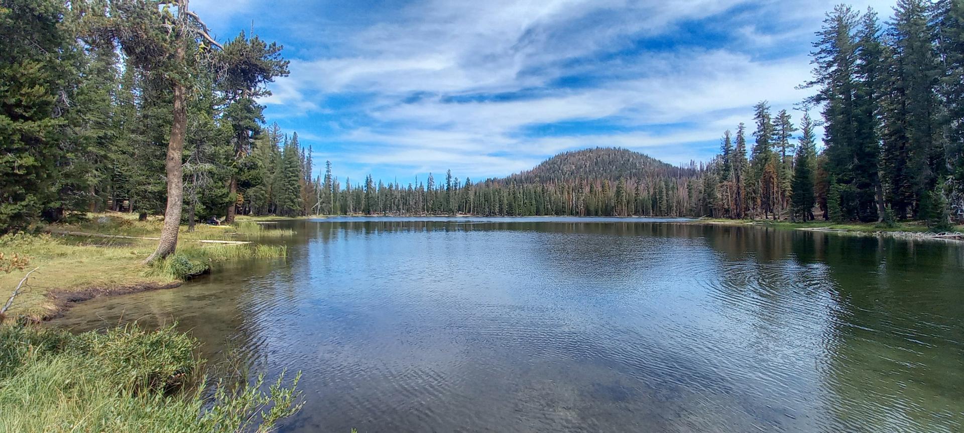 Calm lake surrounded by dense pine forests under a blue sky.