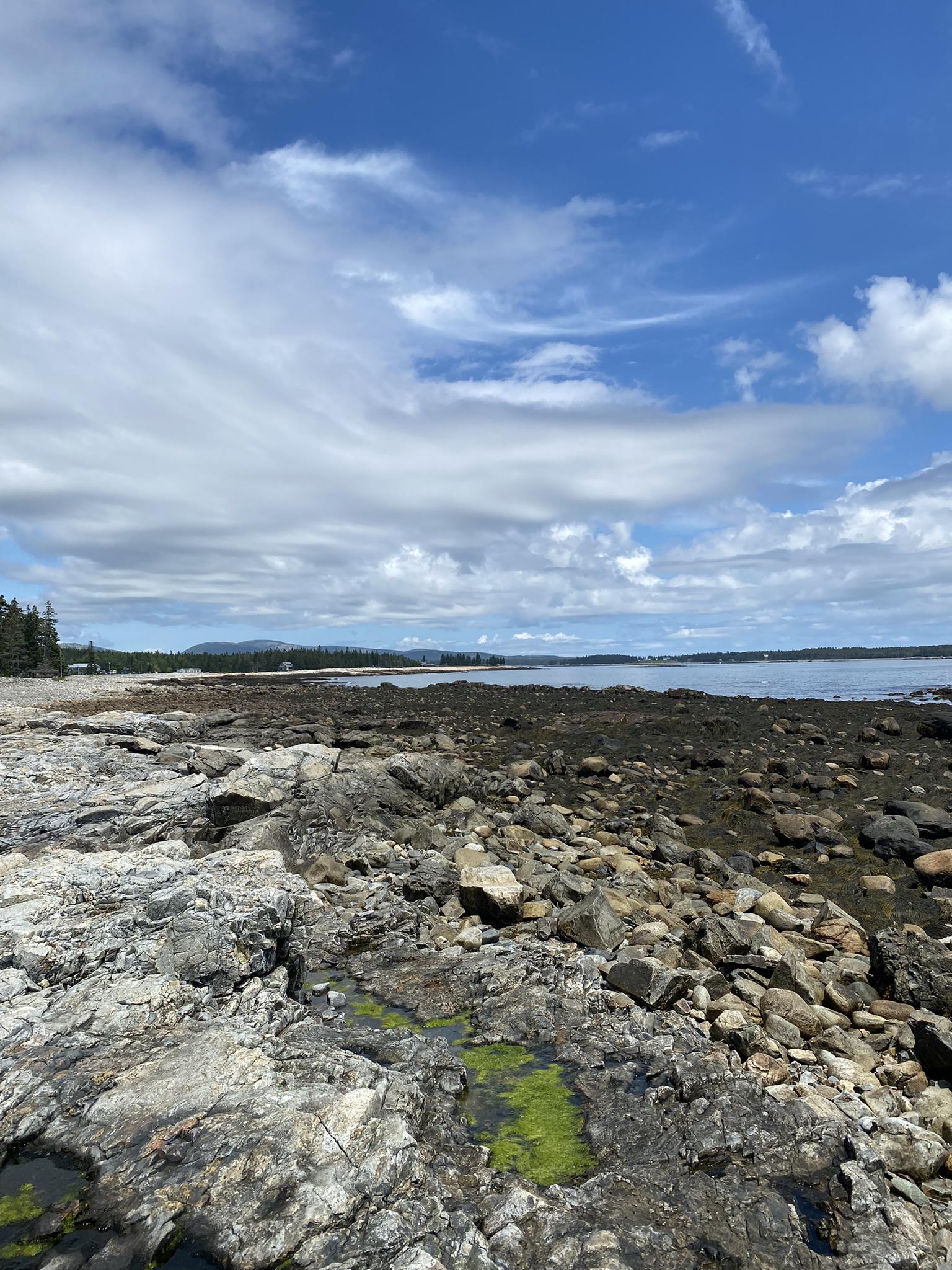 Rocky coastal landscape with ocean, green moss, and cloudy blue sky.