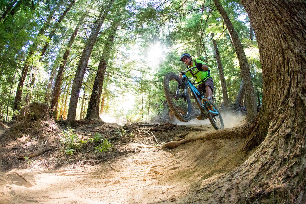 A mountain biker kicks up dirt on a sunny forest trail.