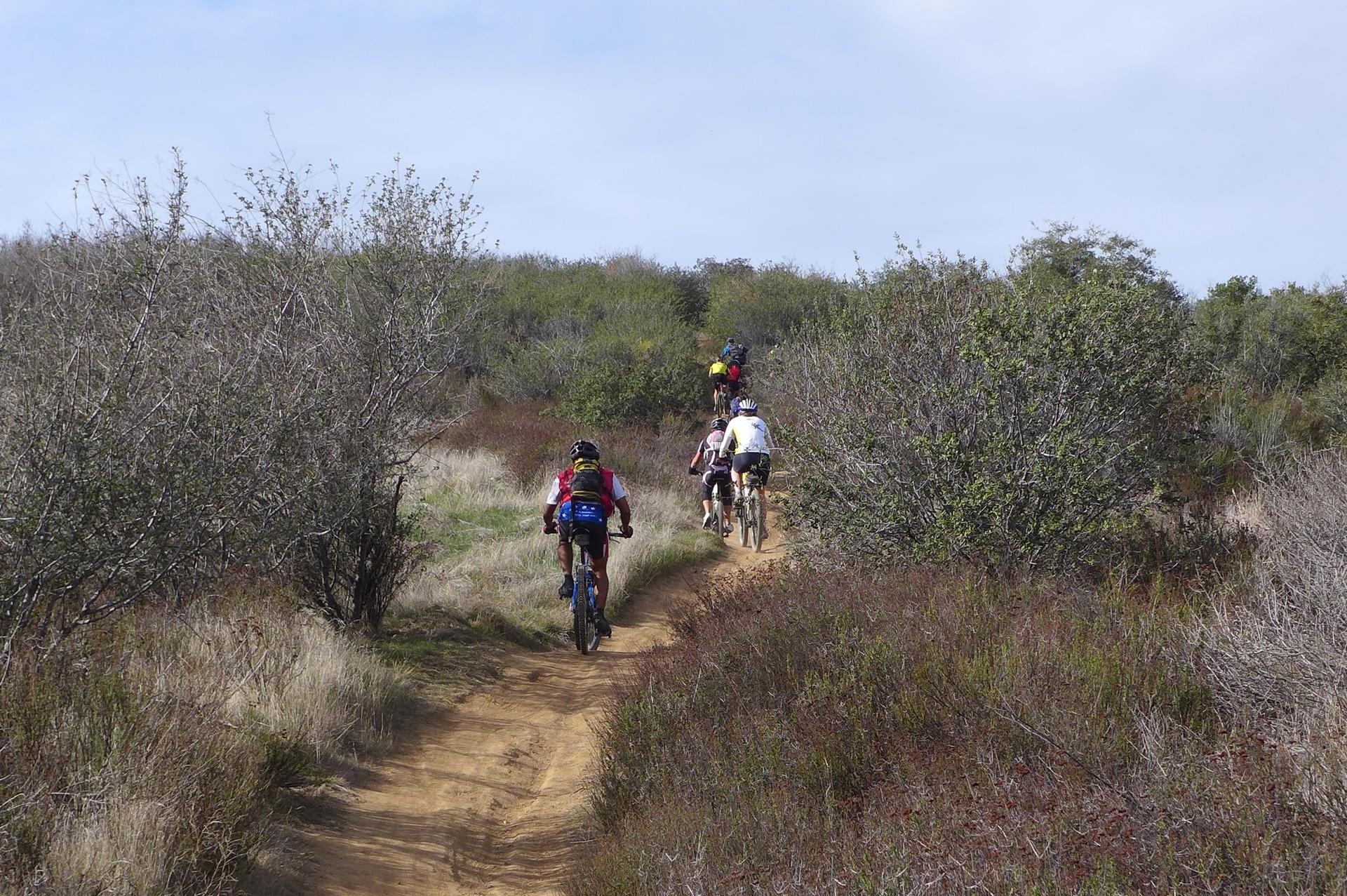 Group of mountain bikers riding a dirt trail through dry, bushy hills.