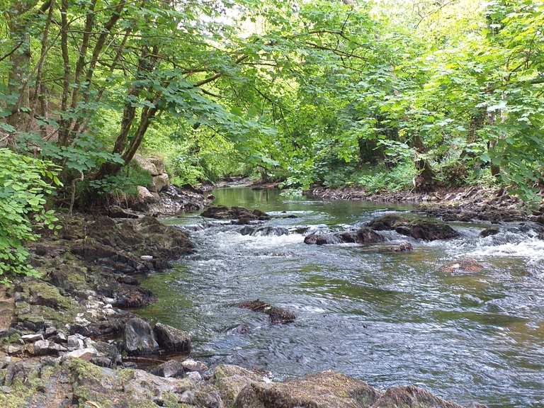 The Hunter's Trail and the River Teign loop from Castle Drogo ...