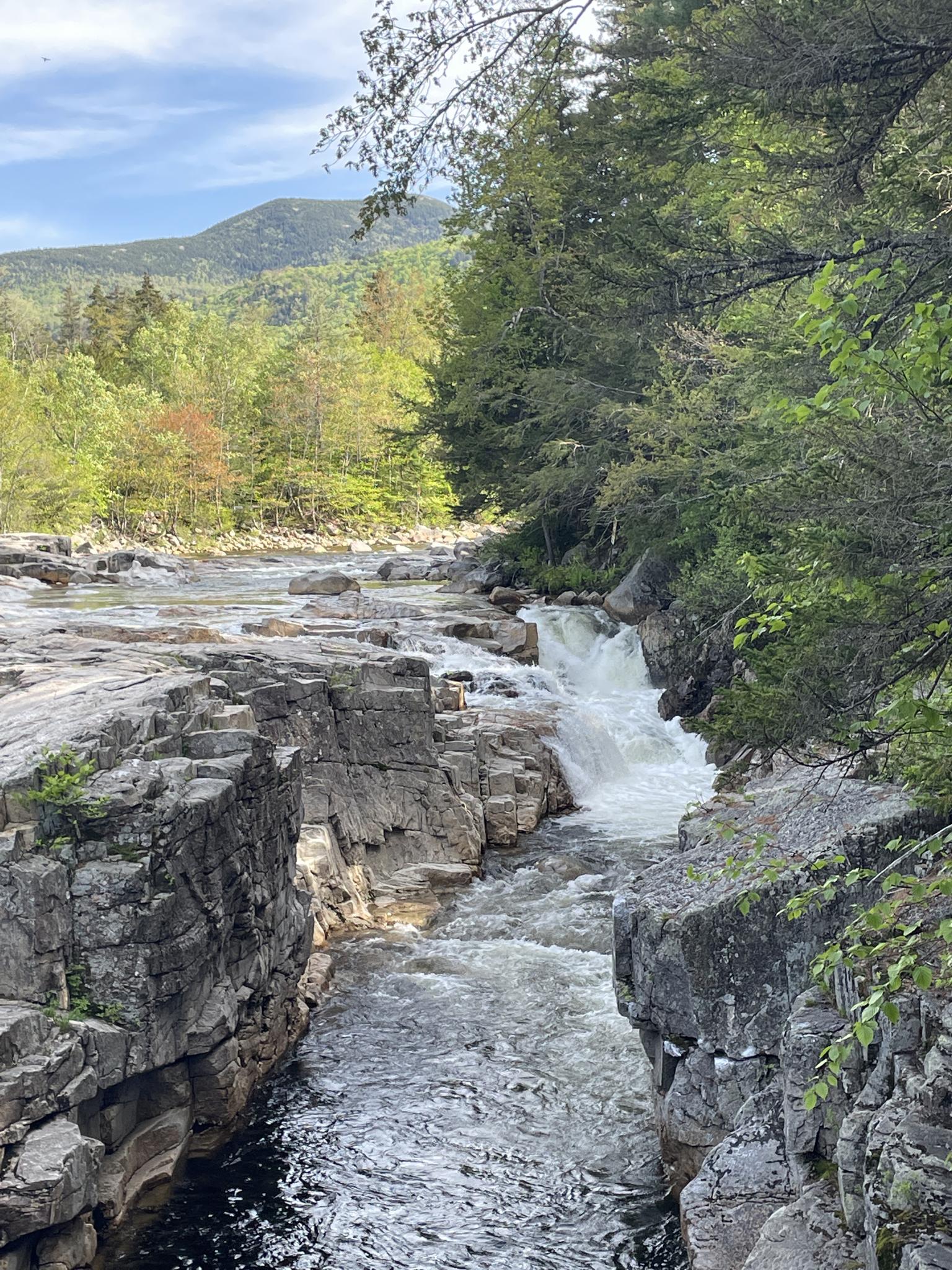 Rushing river with a small waterfall flowing through a rocky gorge.
