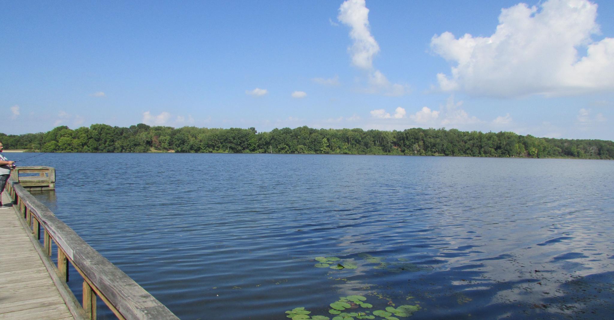 Person fishing from a wooden dock on a large lake with forested shores.
