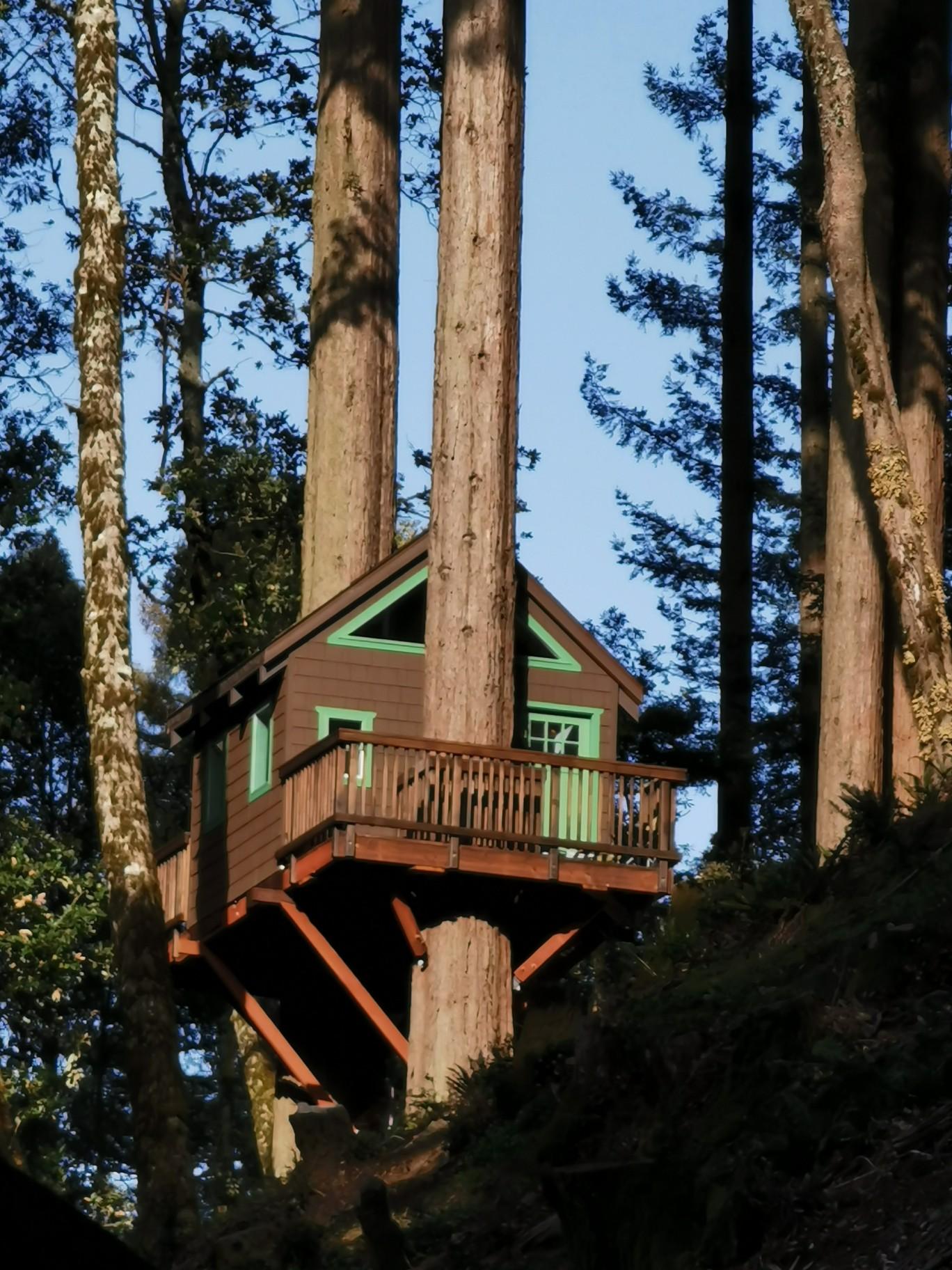 A charming brown and green treehouse nestled high among tall forest trees.