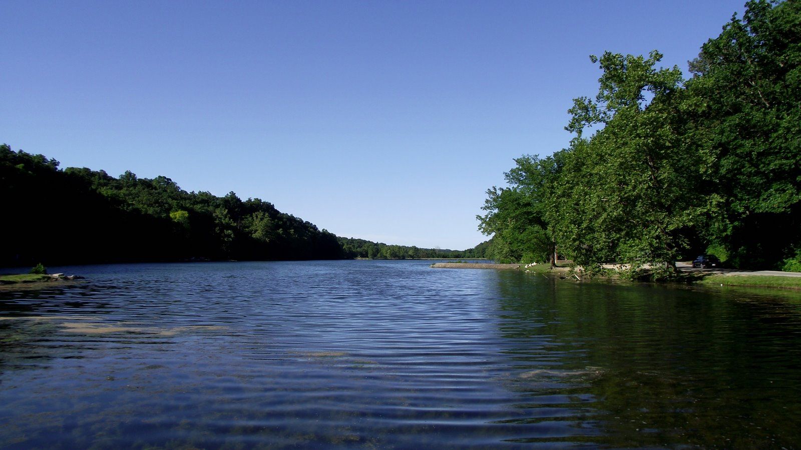 Wide calm lake surrounded by dense green trees under a clear blue sky. - Lake Atalanta Loop