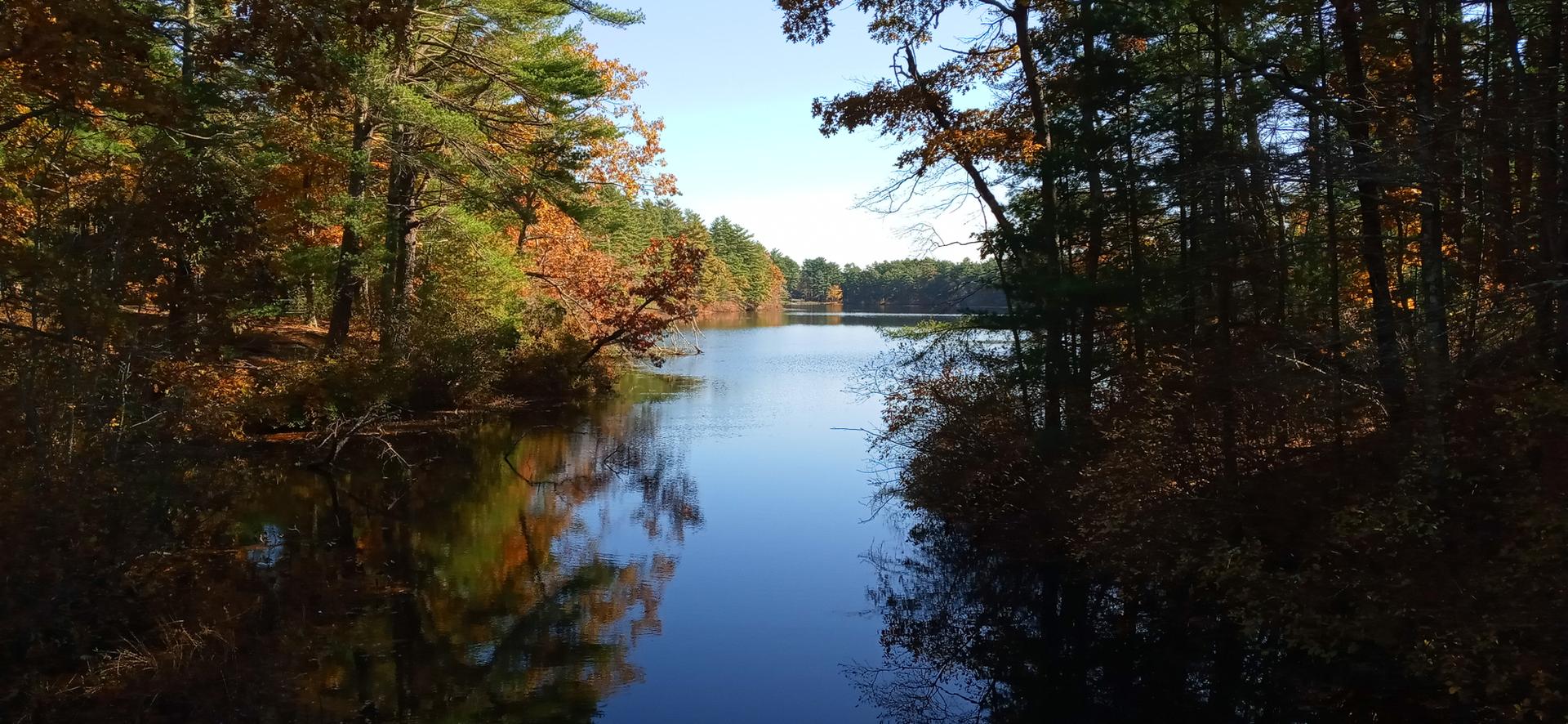 Calm lake reflecting colorful autumn trees under a clear sky.