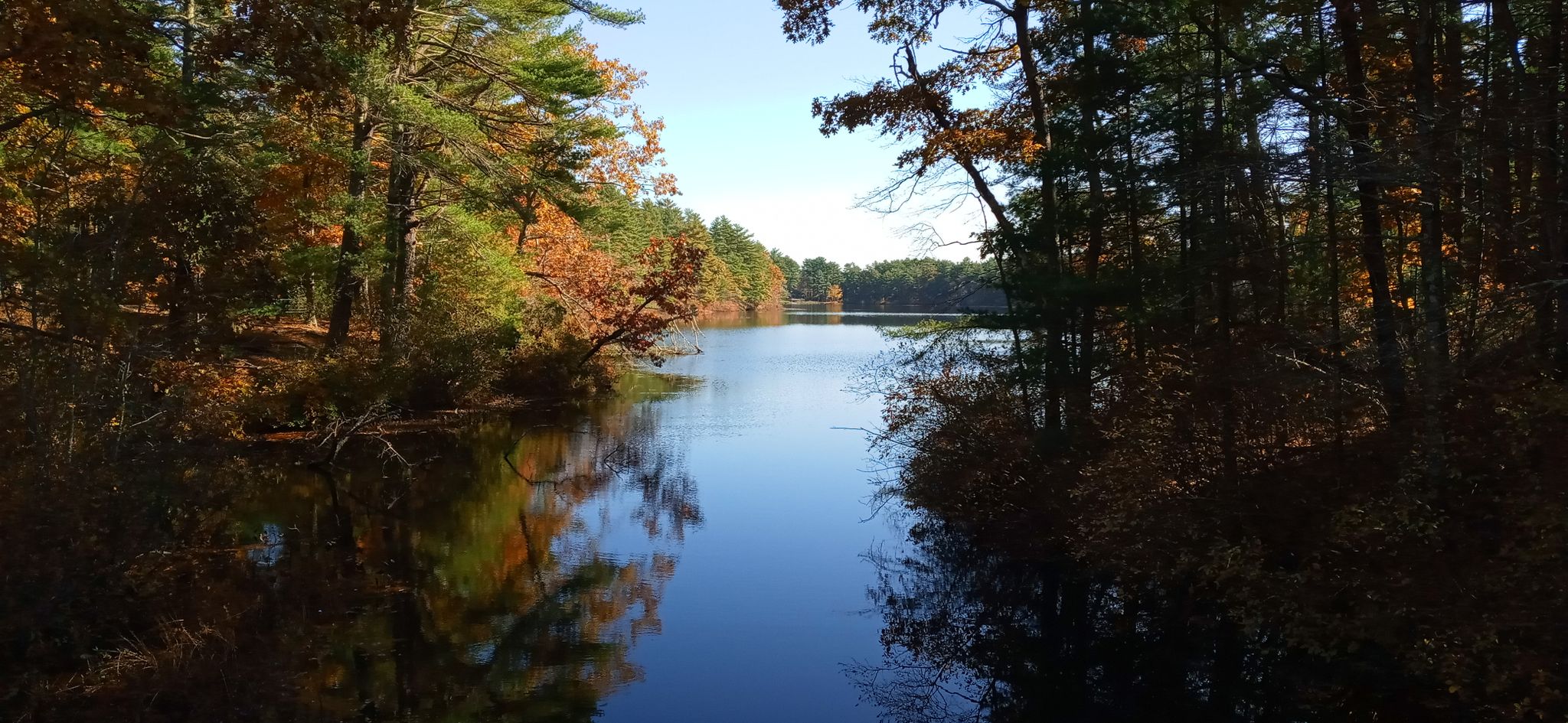 Calm lake reflecting colorful autumn trees under a clear sky. - Adams Trail