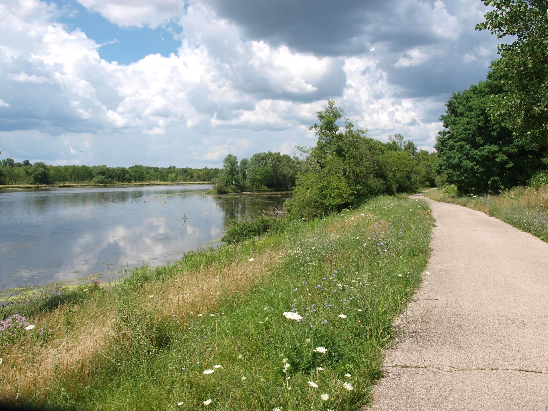 Paved path alongside a reflective lake with green grass and trees.