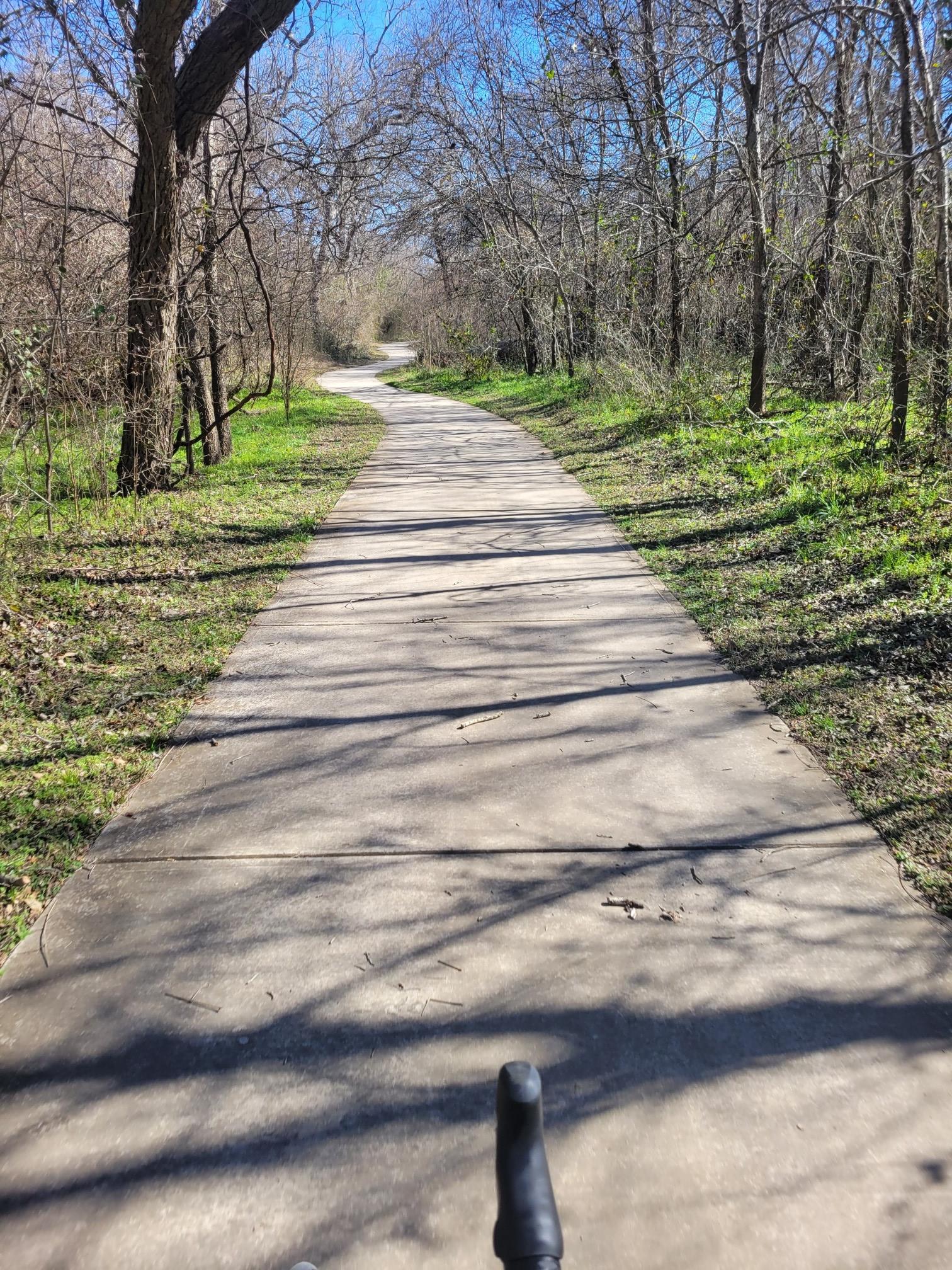 Paved path winding through sunlit woods with dappled shadows.