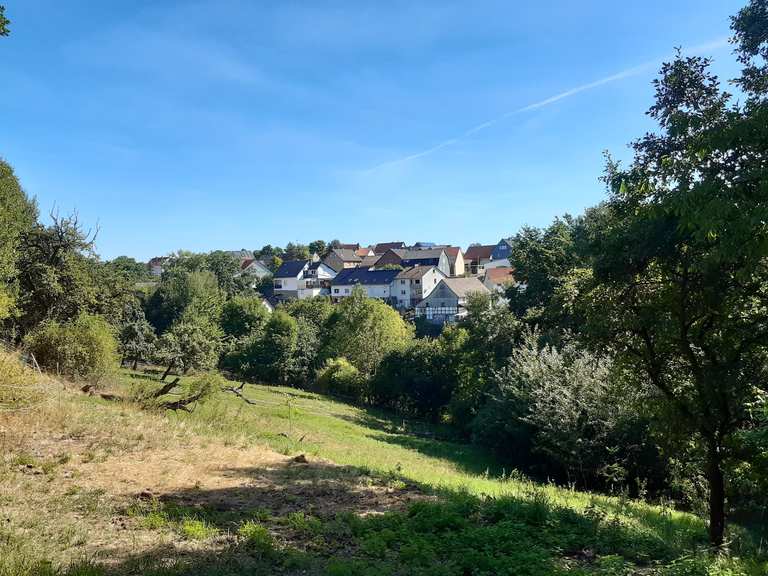 Holzburg das Tor zur Schwalm Radtouren und Radwege komoot
