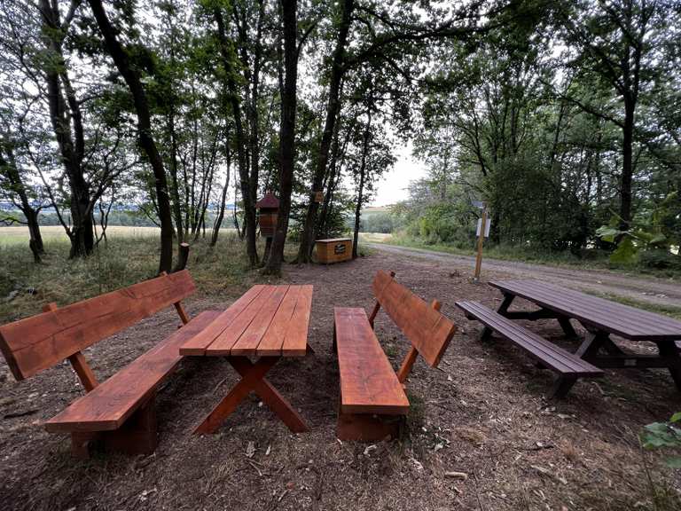 Genusstation im Wald, toller Rastplatz mit viel Genuss: Wanderungen und ...