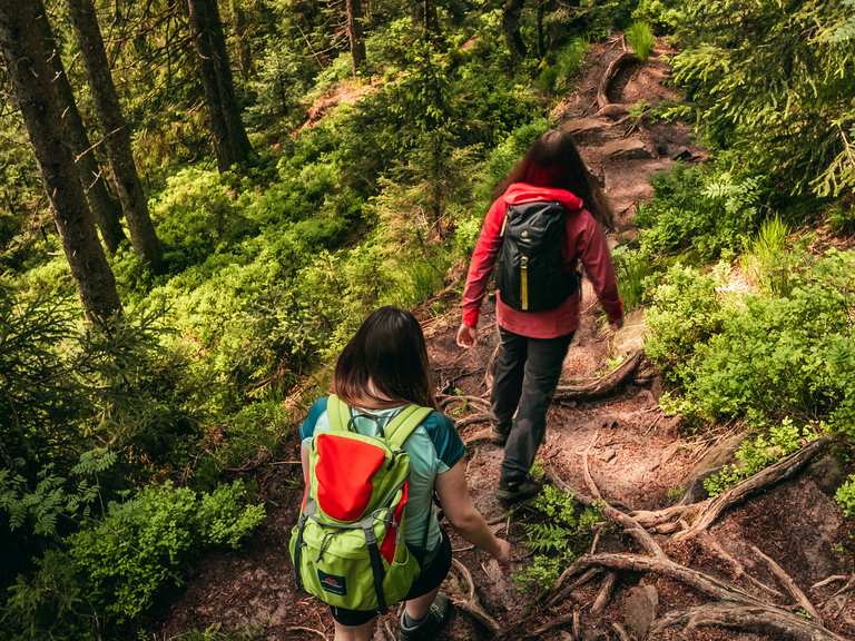 bannwald tour baiersbronn komoot