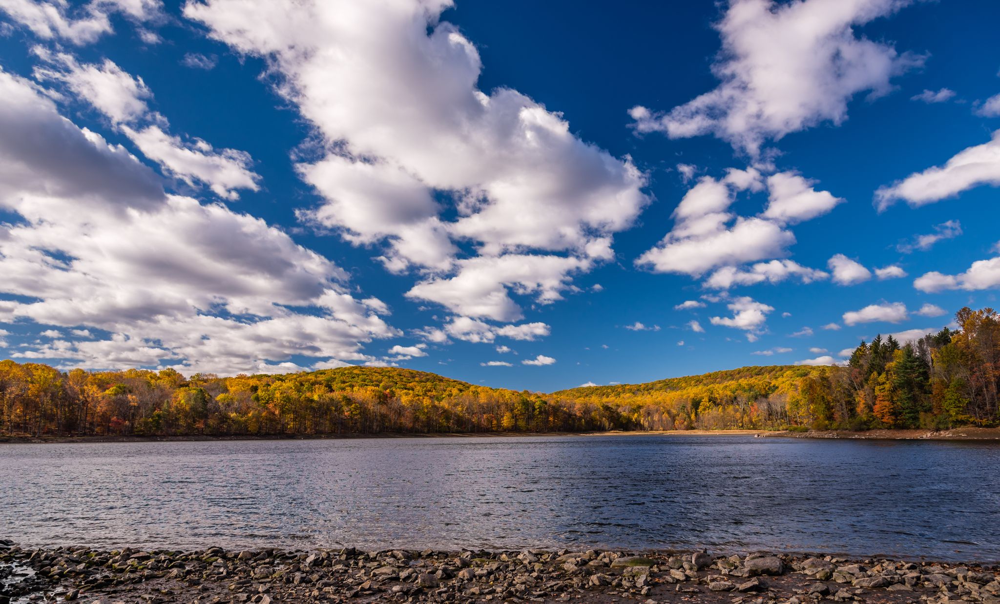 Vibrant autumn trees line a wide lake under a bright, cloudy blue sky. - Patriots' Path Loop