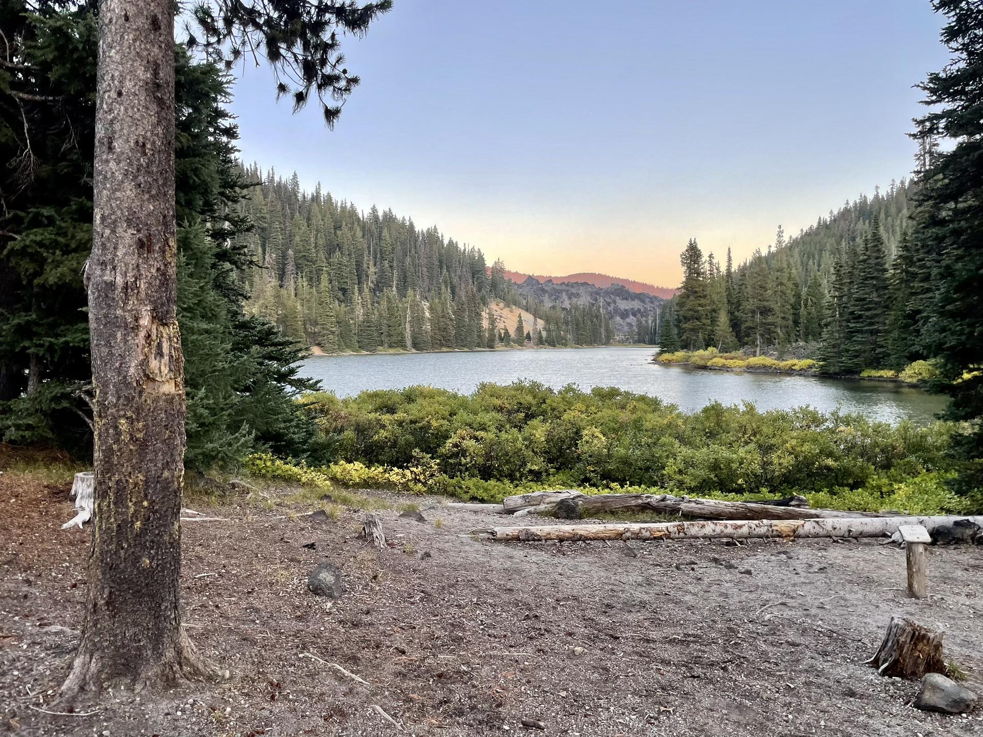 A calm lake surrounded by dense pine forest under a soft evening sky.