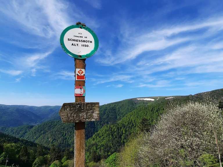 Le Hohneck par la vallée de la Wormsa boucle depuis Metzeral dans la