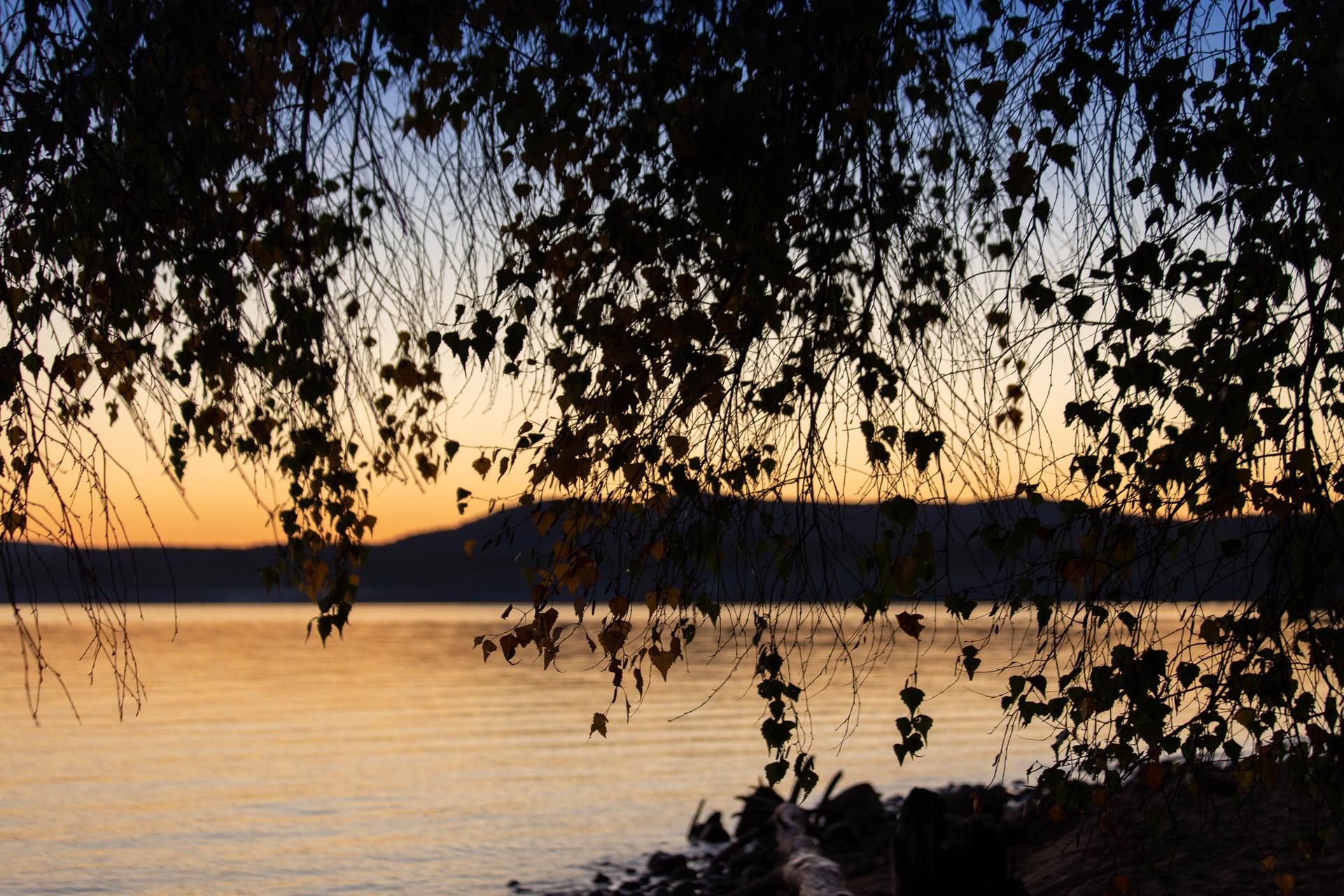 Silhouetted tree branches frame a tranquil lake and distant hills at sunset.