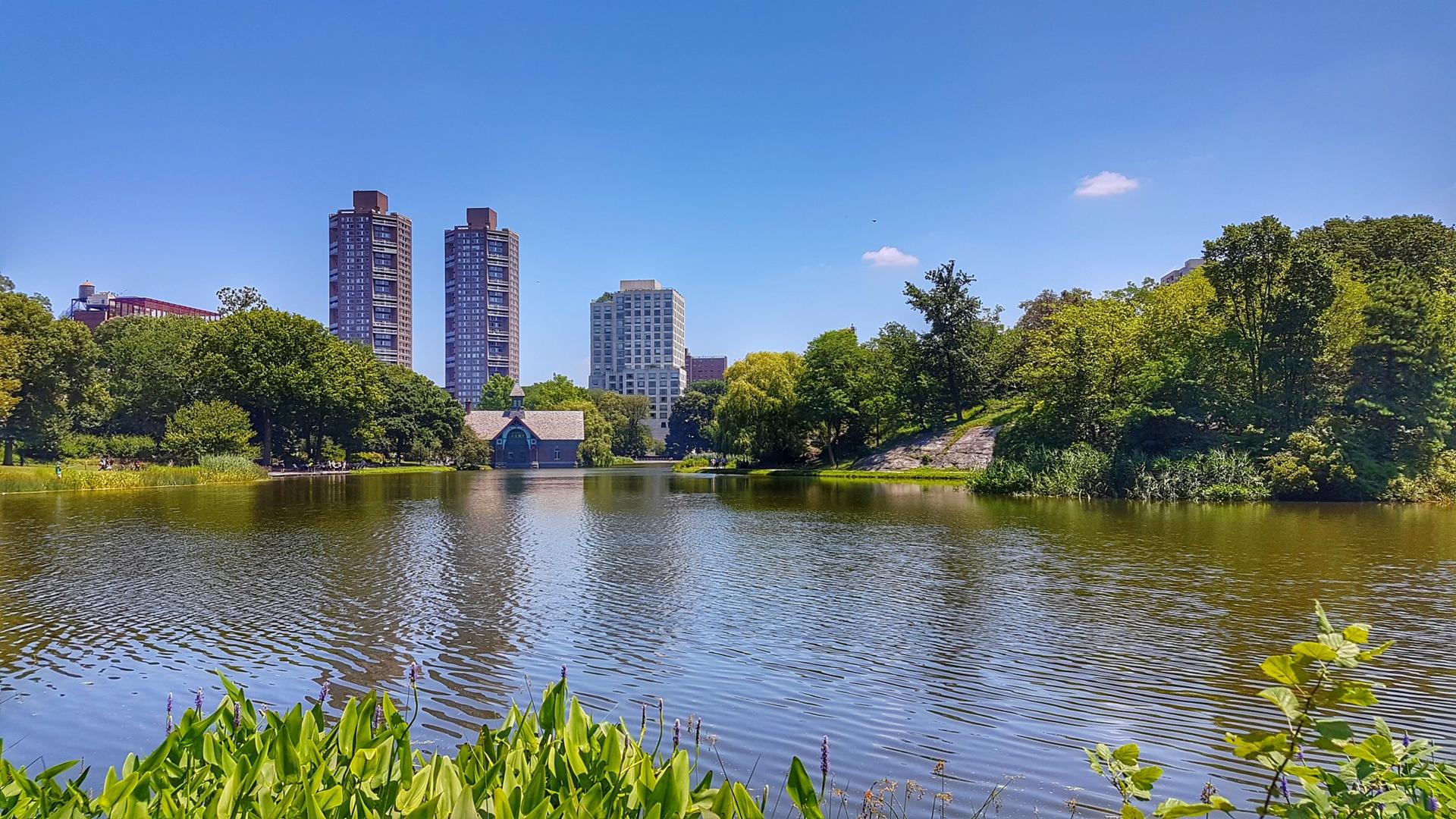 Sunny urban park lake with green foliage, boathouse, and tall buildings.
