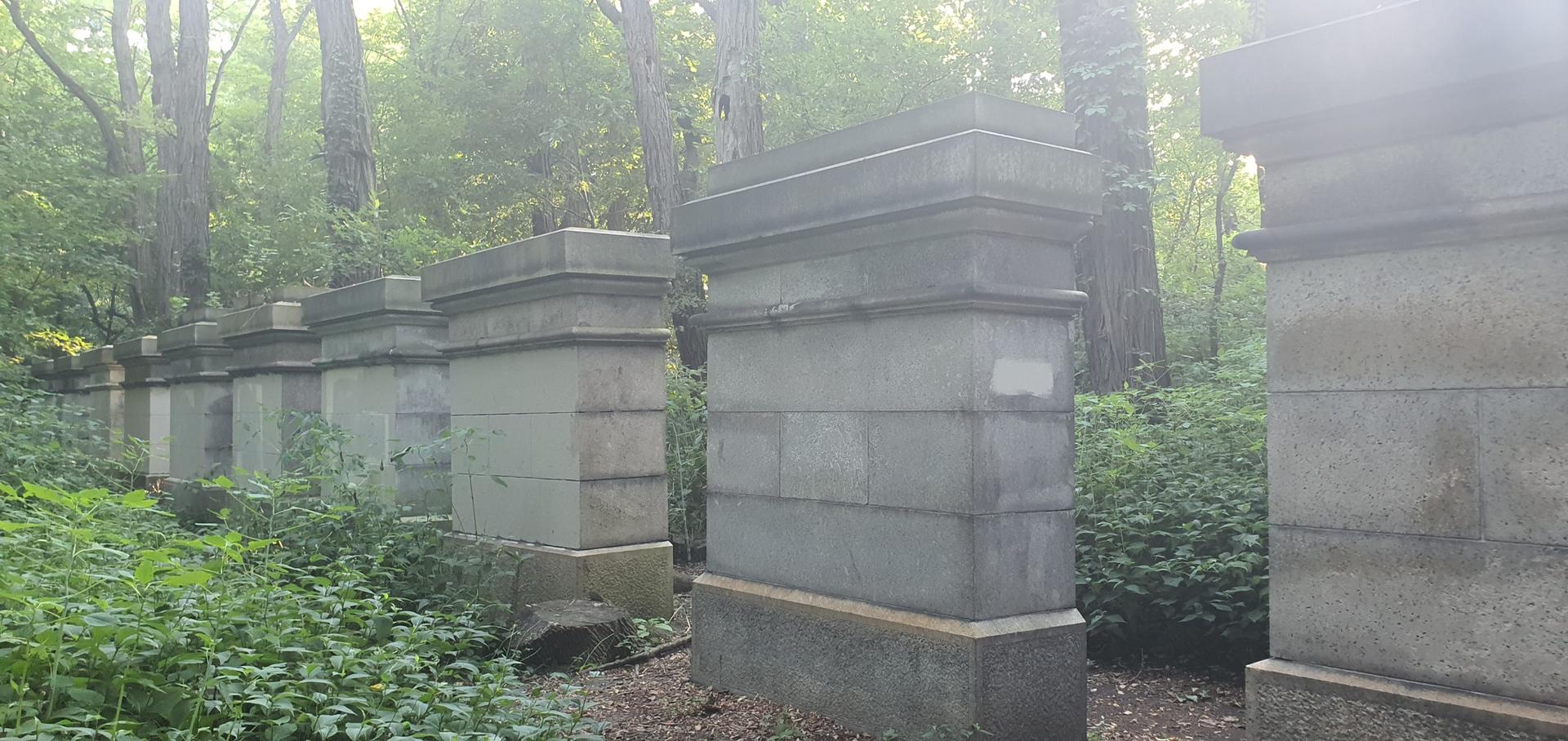 Row of weathered stone pillars in a dense, sunlit forest with green foliage.
