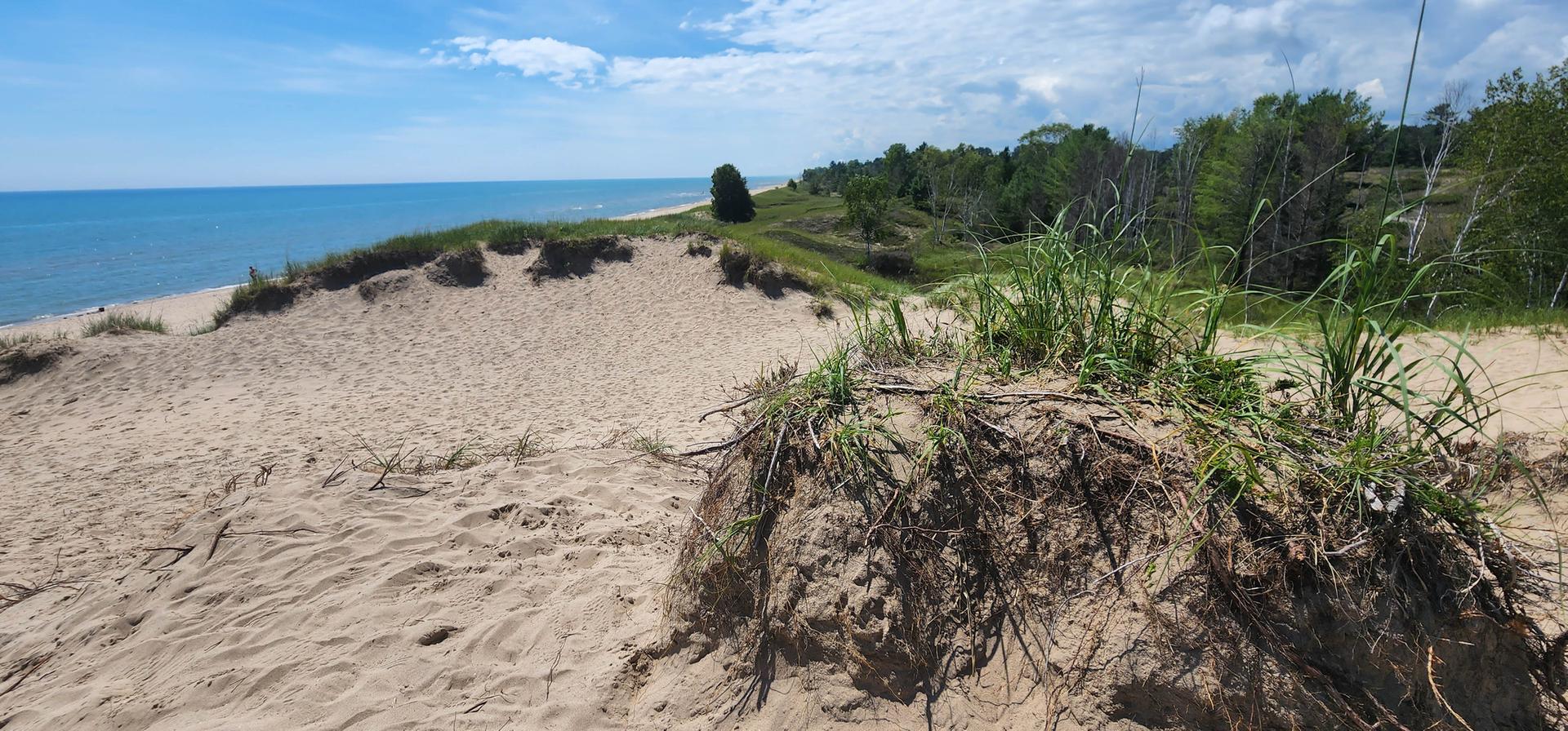 Expansive sandy dunes with green vegetation overlooking a vast blue ocean.