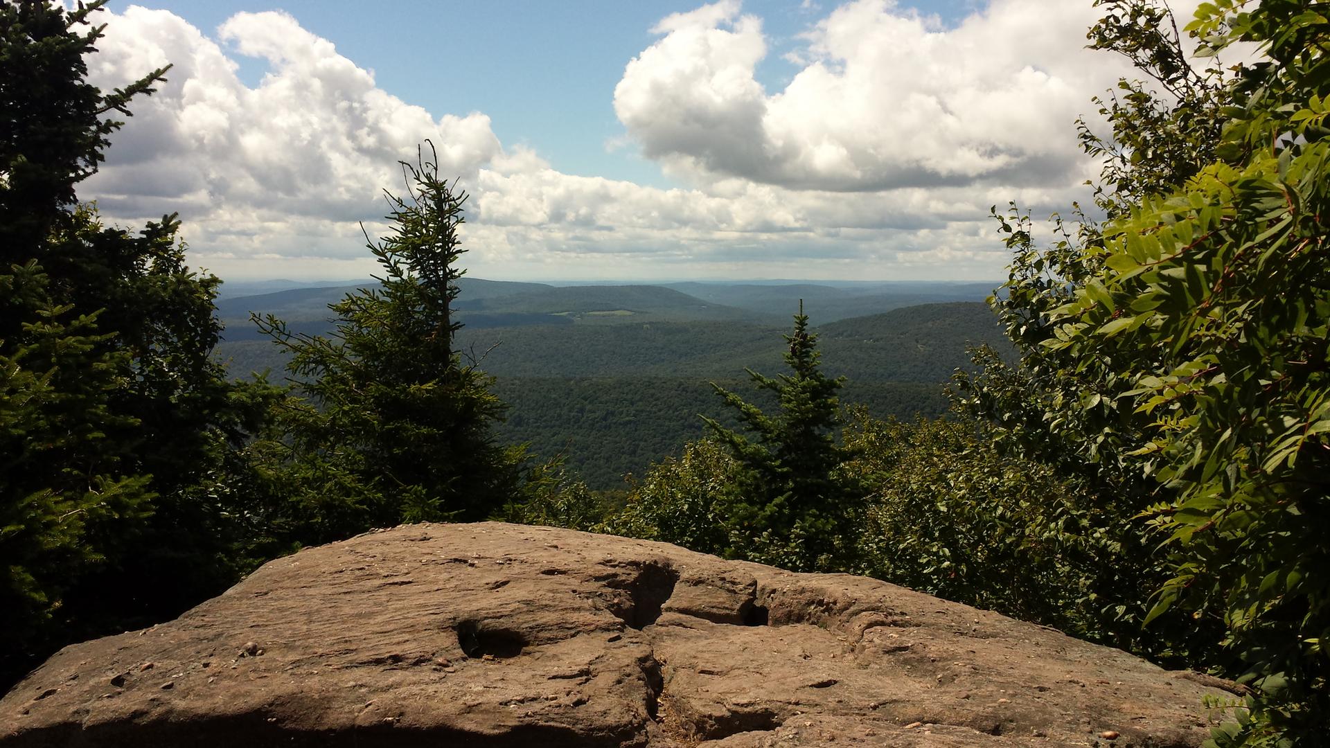 Rocky outcrop overlooking a vast green forest under a partly cloudy sky.