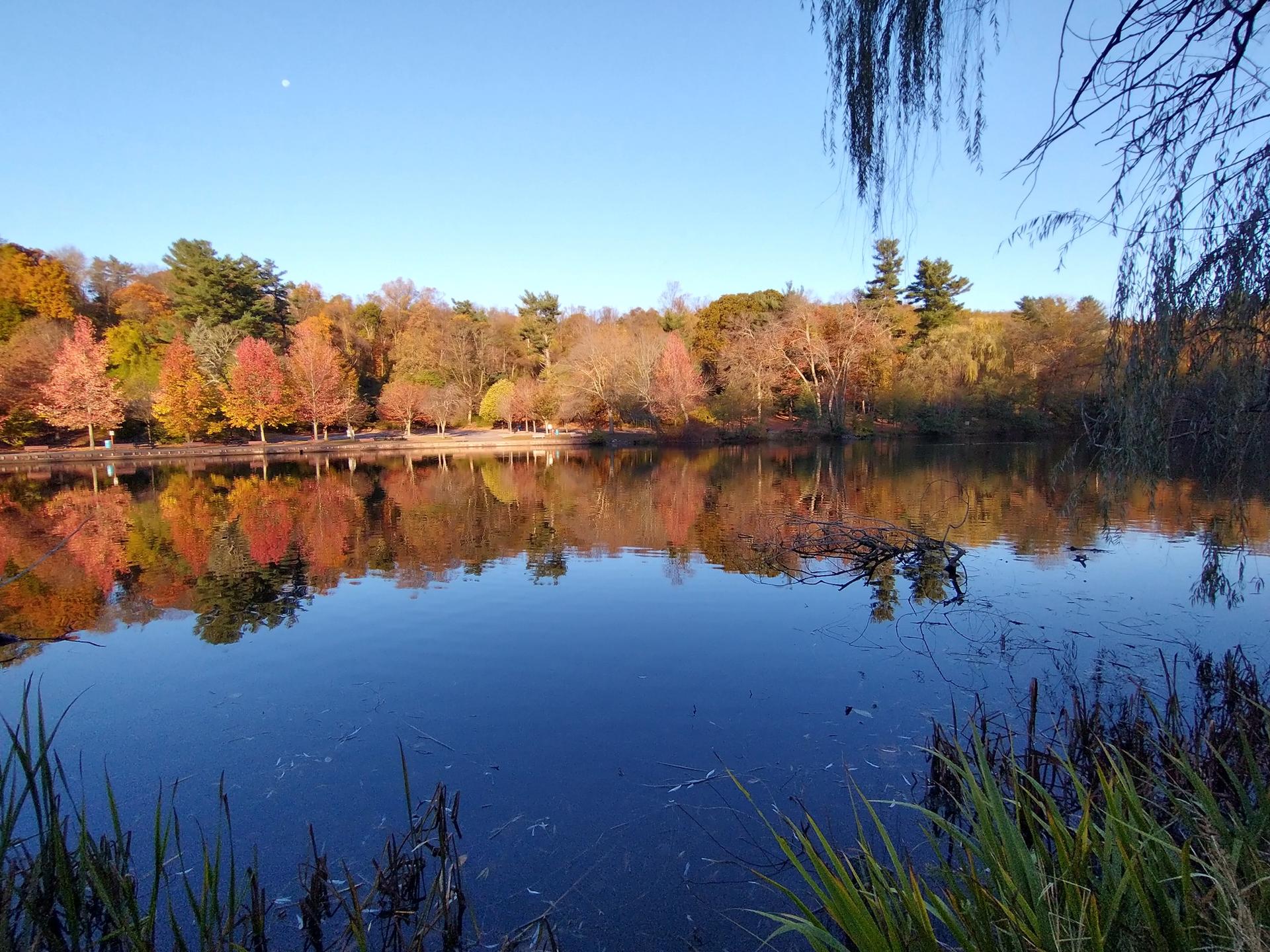 Calm lake reflecting colorful autumn trees under a clear blue sky.
