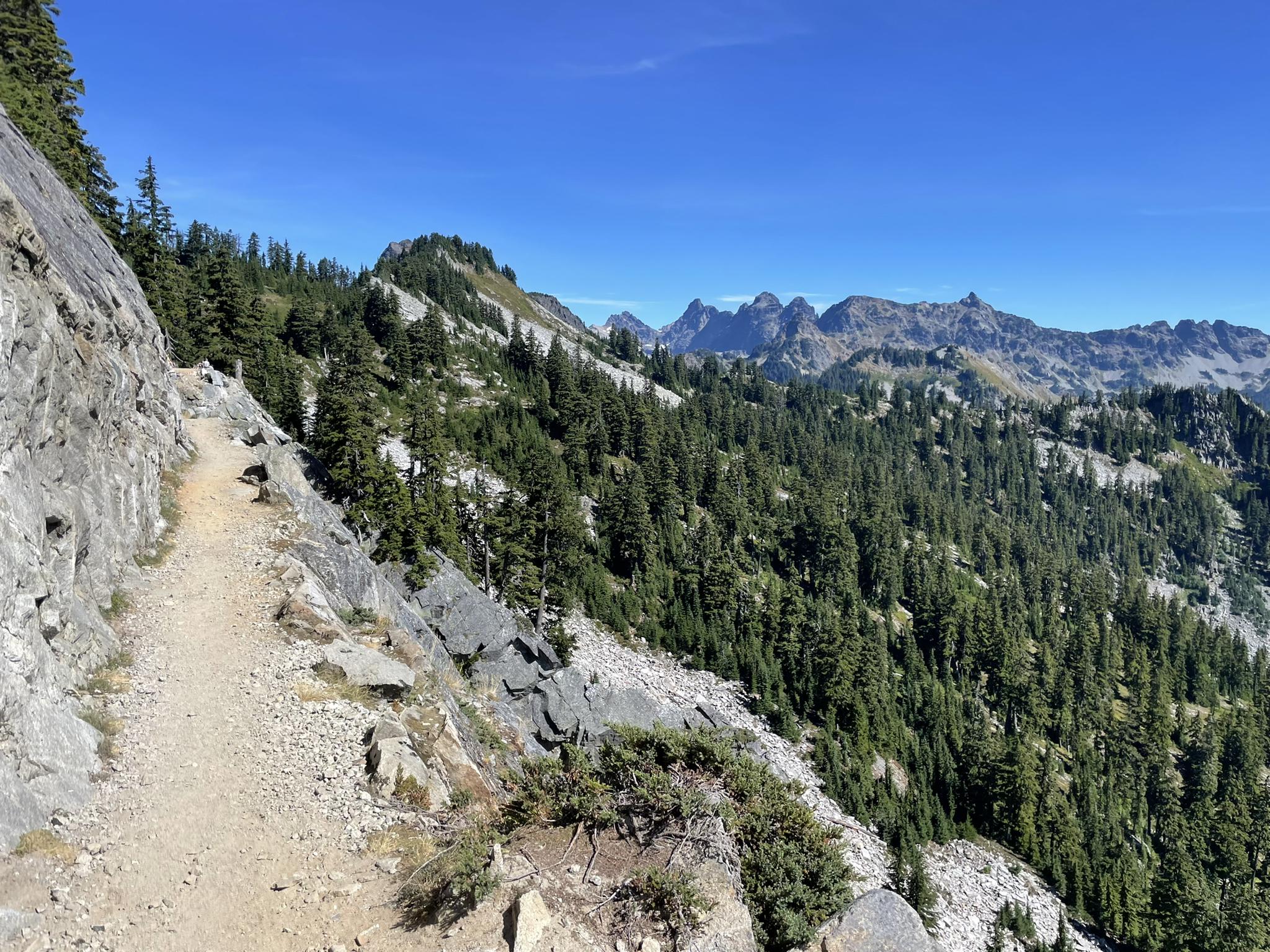 A narrow dirt trail carved into a steep, rocky mountainside overlooking a forest.